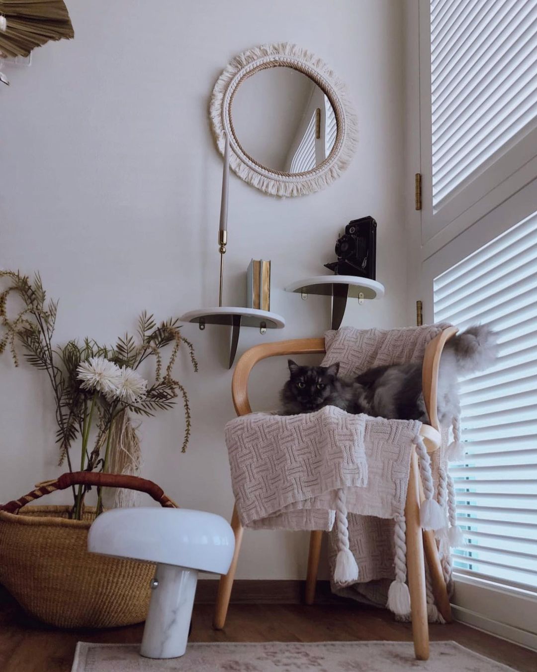 Purr-fectly Styled Nook - feline, fluffy cat, cozy chair, light beige blanket, wooden chair, round mirror, white wall