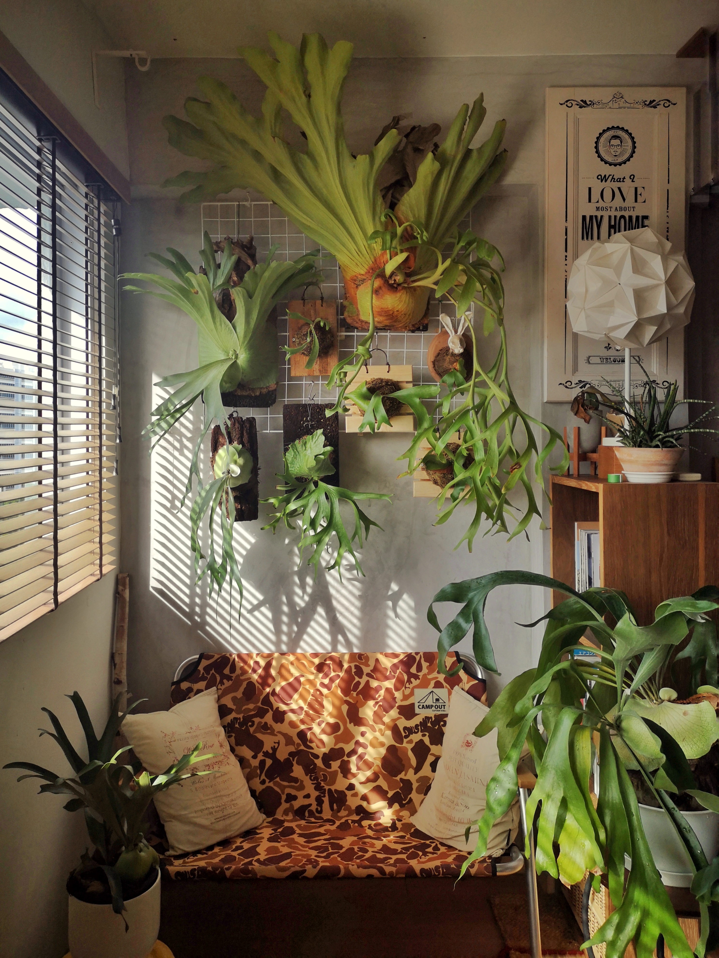 Integrating-greenery-into-my-cosy-nook