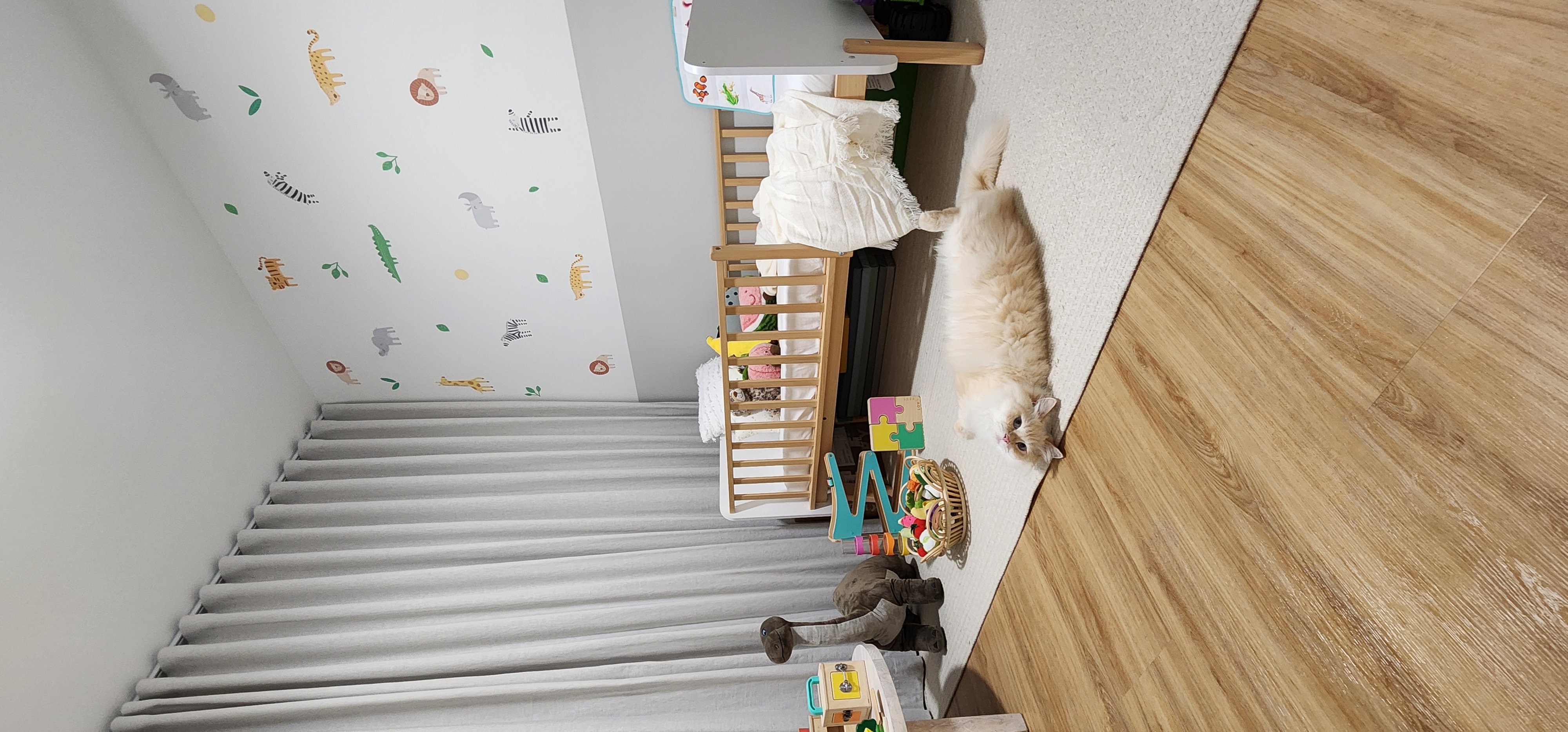 Building-a-pet-friendly-Scandinavian-home