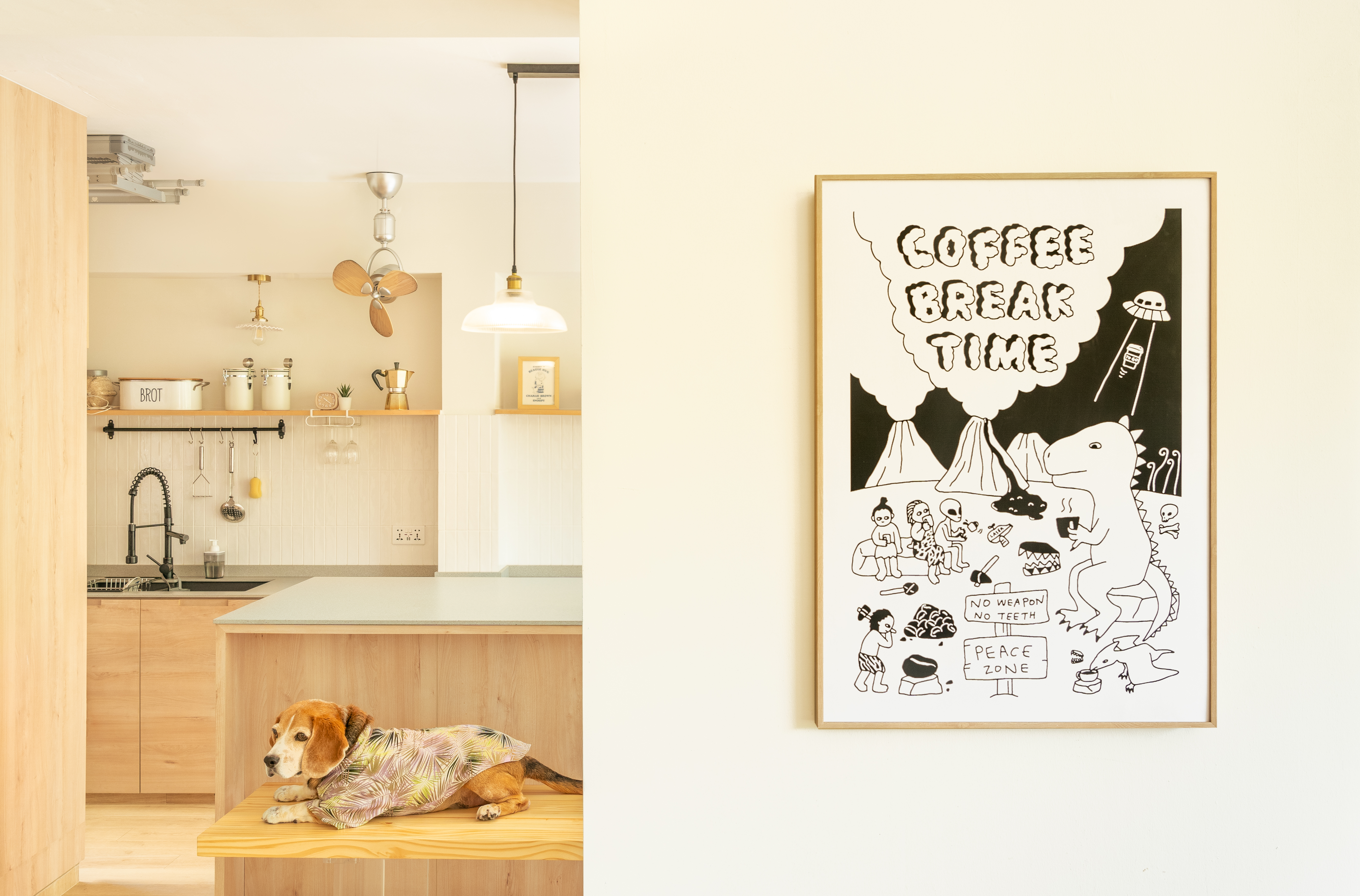 Most magical place at home - Modern kitchen with wooden cabinets, stainless steel sink, and pendant lights. Dog wearing a