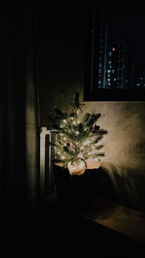 Christmas fiesta in our living room - christmas tree, holiday decoration, indoor setting, night scene, artificial Christmas