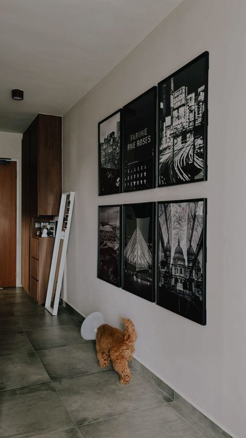 Christmas fiesta in our living room - Wall art, dog, brown dog, playful, indoor, modern, stylish, black and white, framed