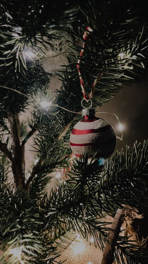 Christmas fiesta in our living room - Christmas tree, festive decorations, red and white striped ornament, green needles