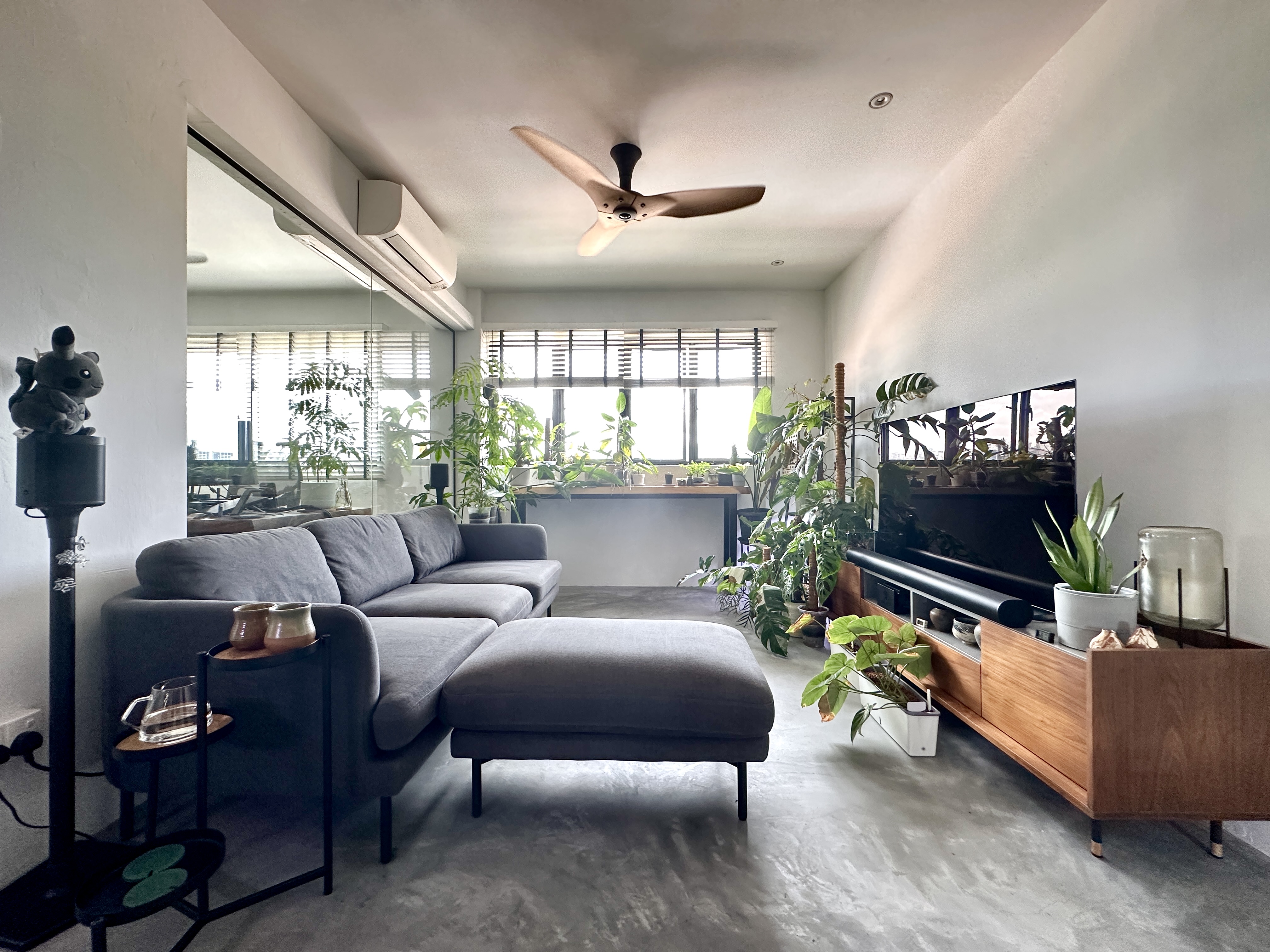 Plants to lighten up our Minimalist living room - Modern living room, minimalist design, cozy atmosphere, large window