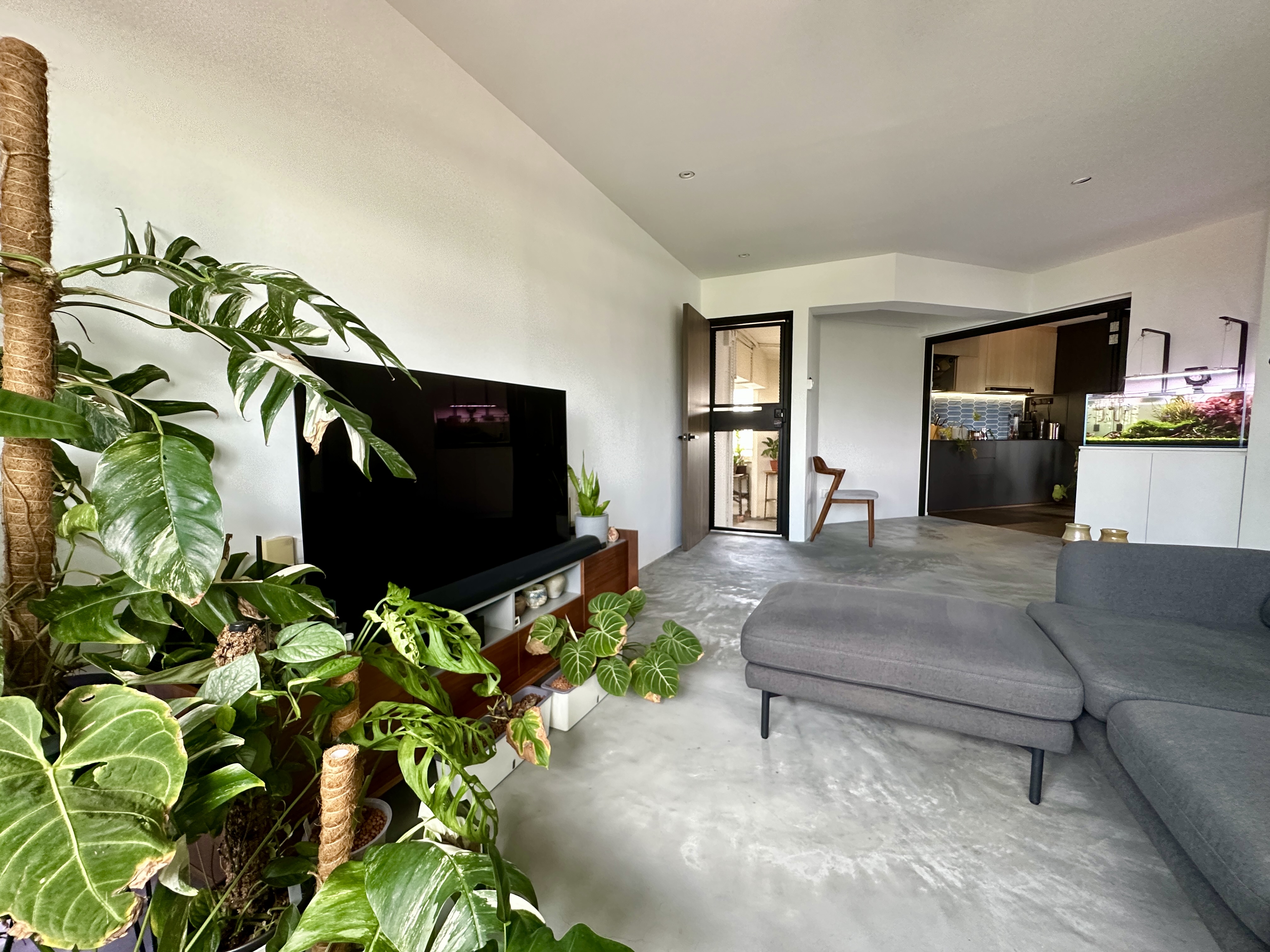 Plants to lighten up our Minimalist living room - Large green houseplants, modern living room, contemporary decor, minimalist