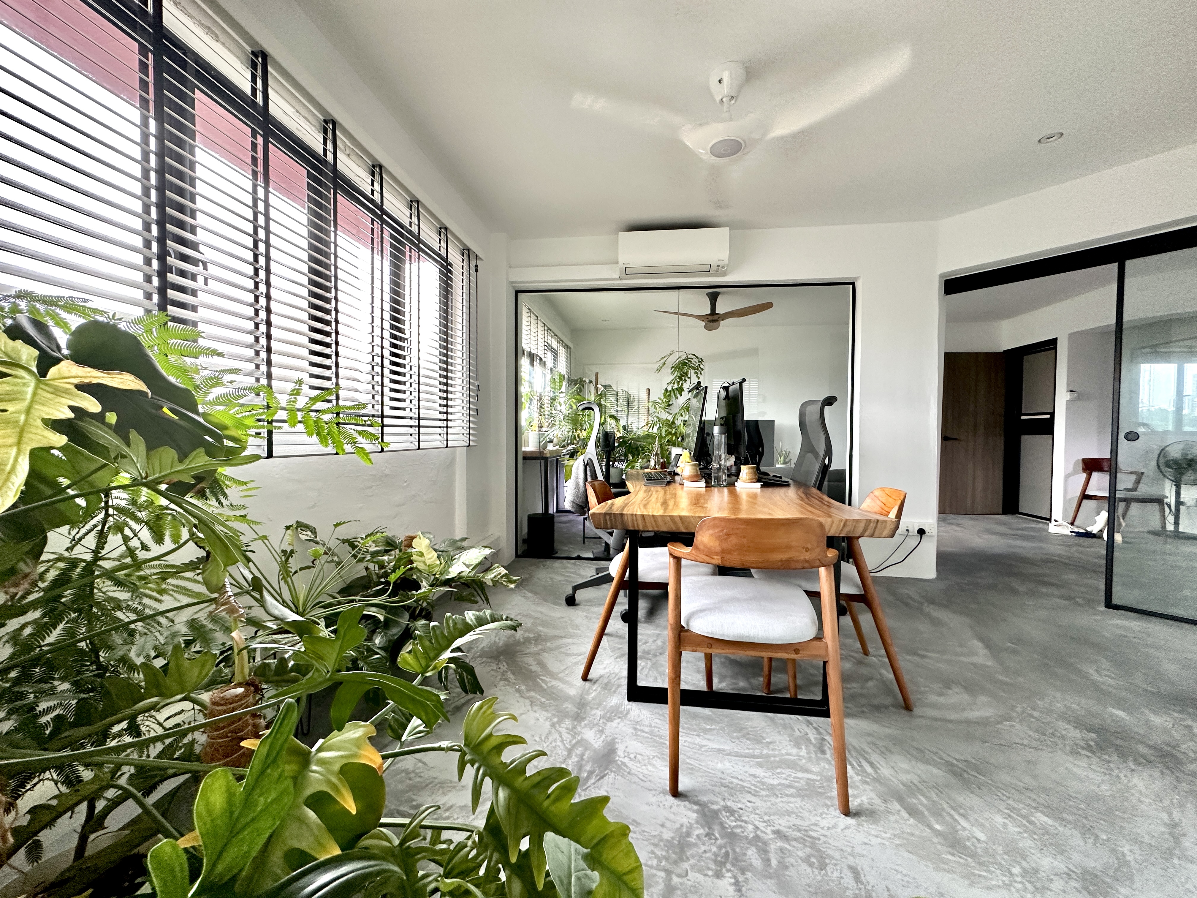 Combine dining & working space - Large windows with horizontal blinds, lush green plants, modern wooden dining table, black