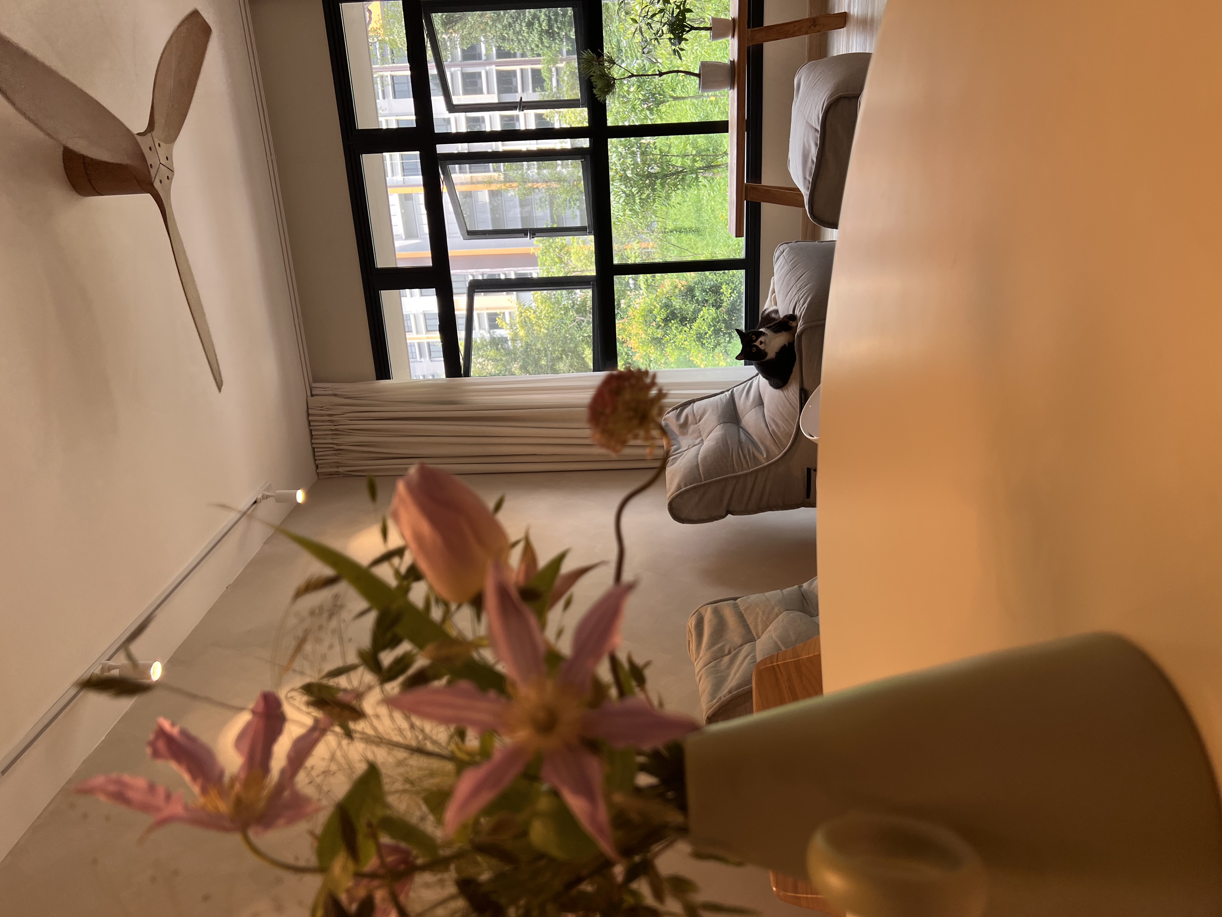 Our very own cosy cat cafe at home