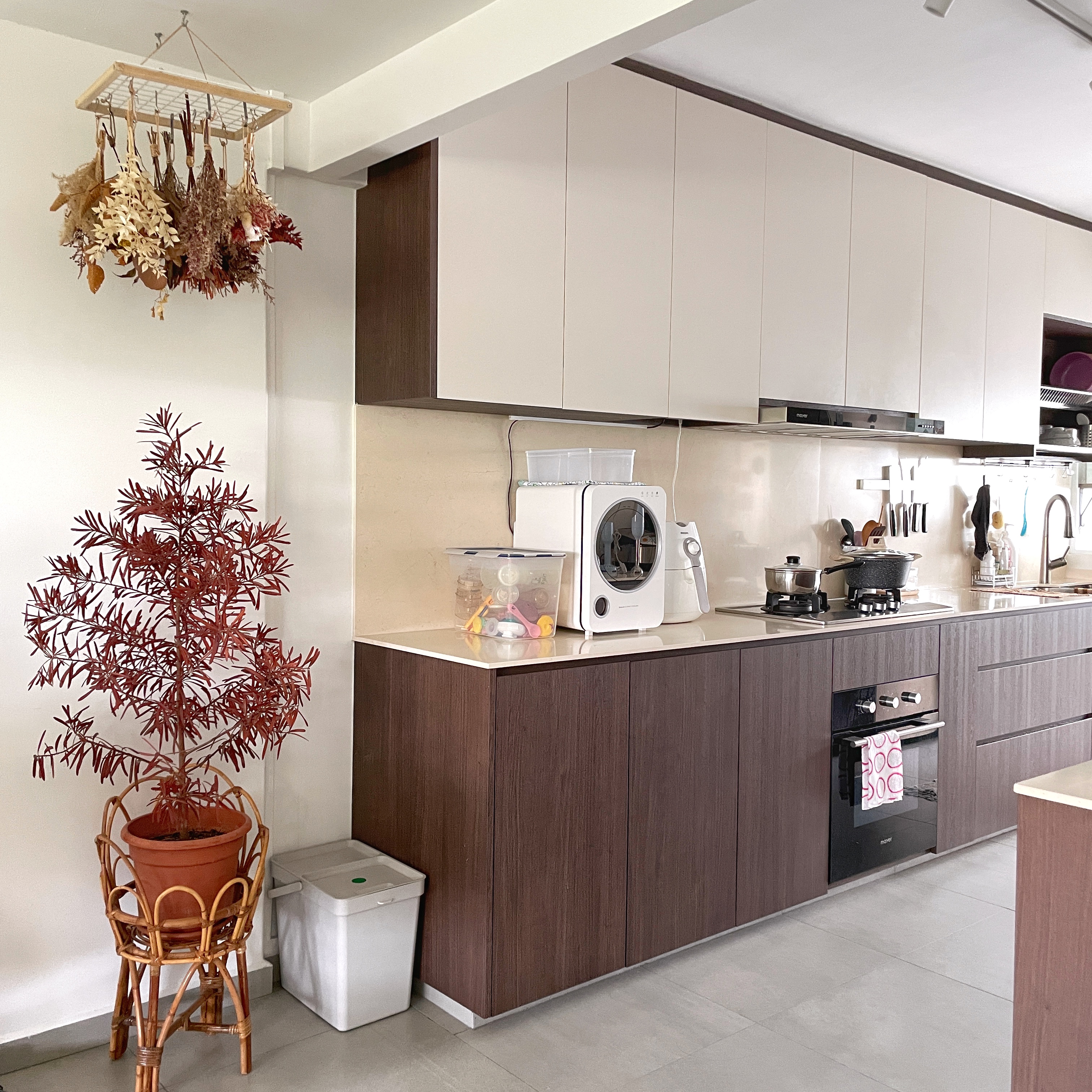 Bright, airy and lived-in. This is our home.  - vibrant potted plant, hanging dried herbs, modern kitchen, white cabinets