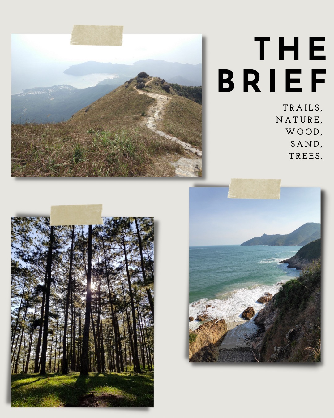 How we chose a theme for the home - trail, nature, wood, sand, trees, mountain, valley, forest, grass, path, horizon, sky