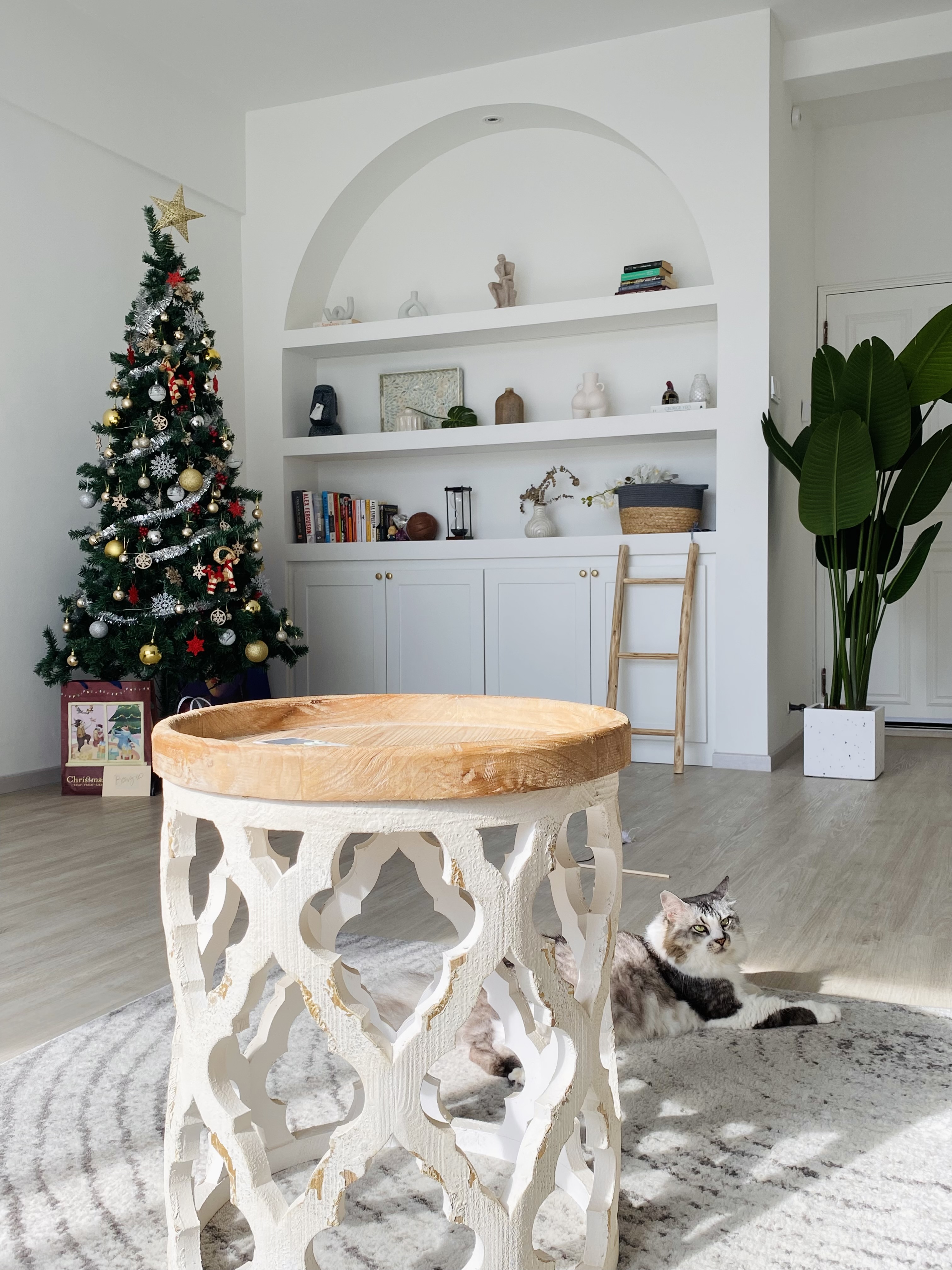 Welcome to MistyHaus, a 30 year old renovated home - christmas tree, festive decorations, white shelf, books, plant, wooden