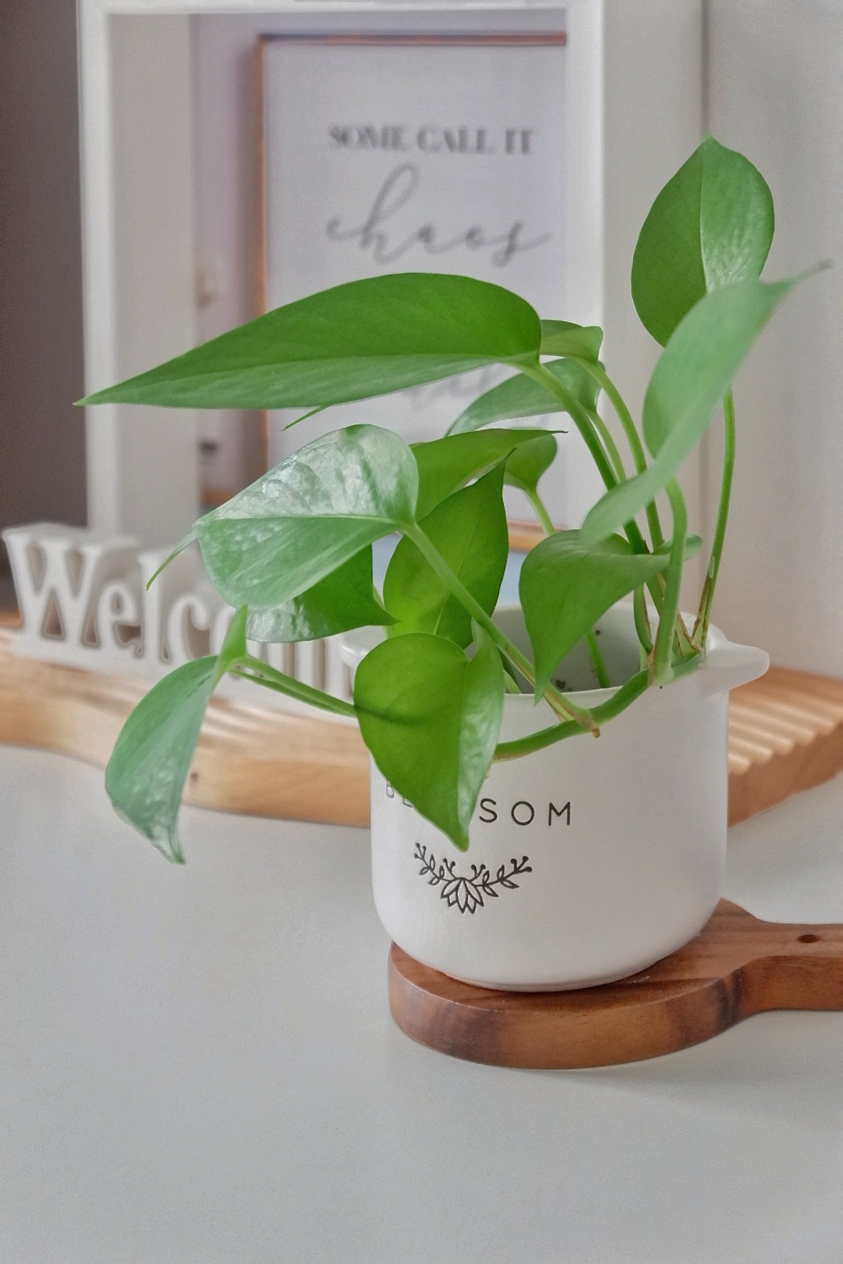 All Things Cosy In the Corners Of the Living Room - Green plant in white pot, "Welcome" sign, "Some call it Christmas" framed