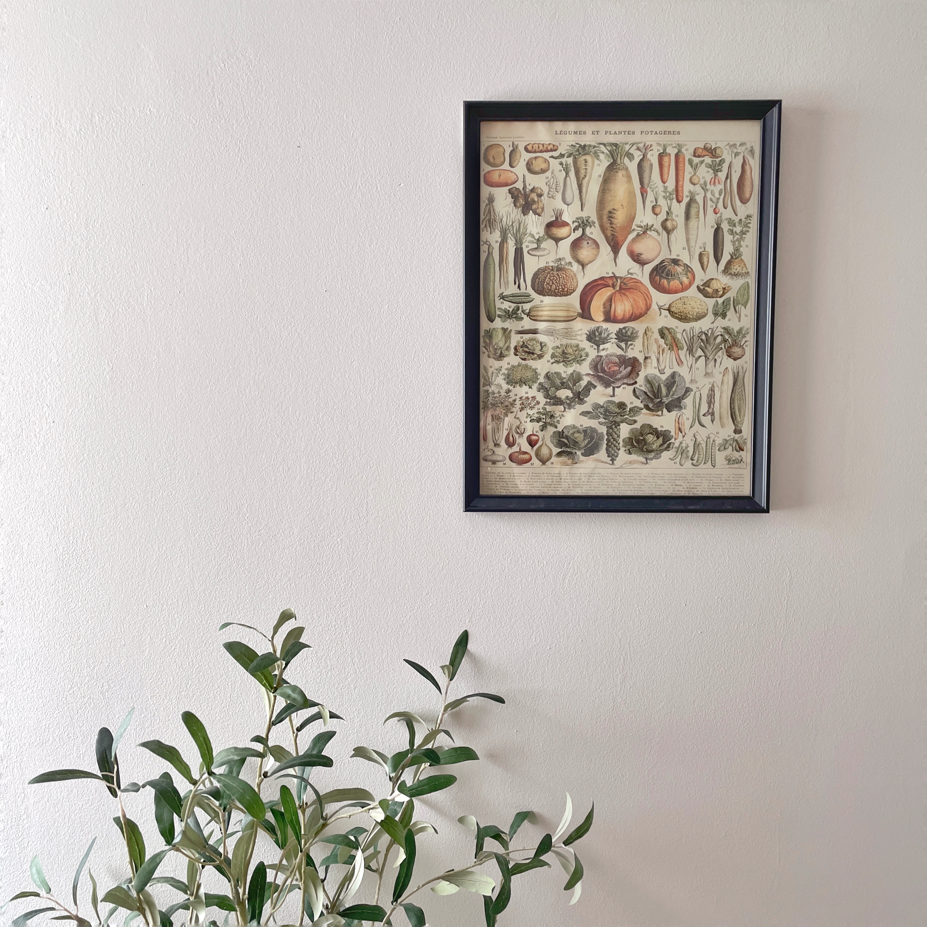 Little cosy corner | great for me-time - Framed botanical illustration of vegetables, wall-mounted art, detailed plant life