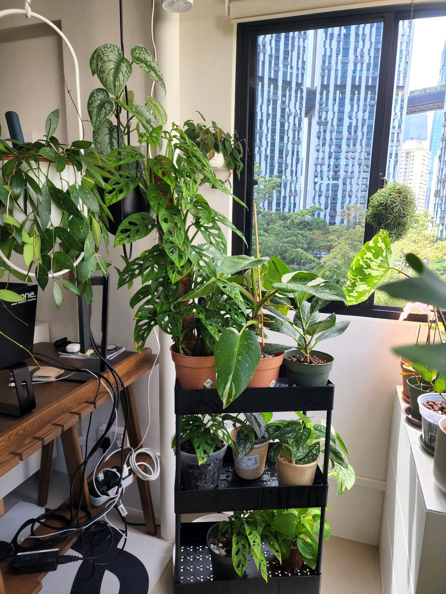 Balcony Garden With Doggy Door & Shoe Storage