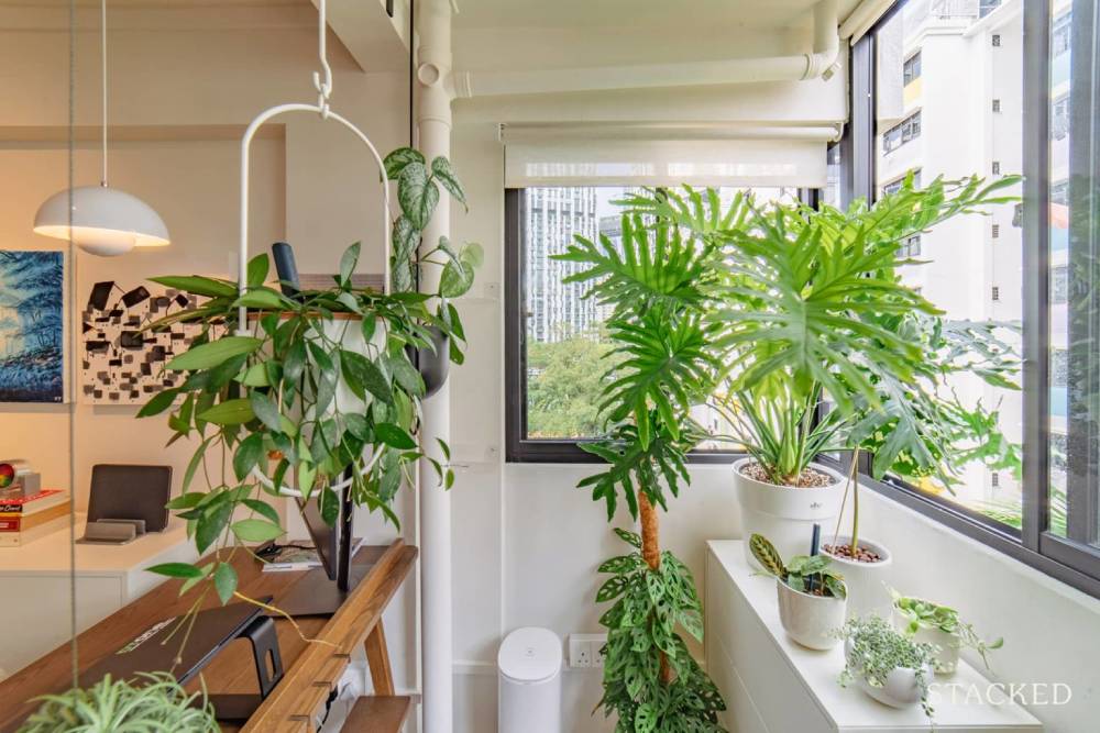 Balcony Garden With Doggy Door & Shoe Storage