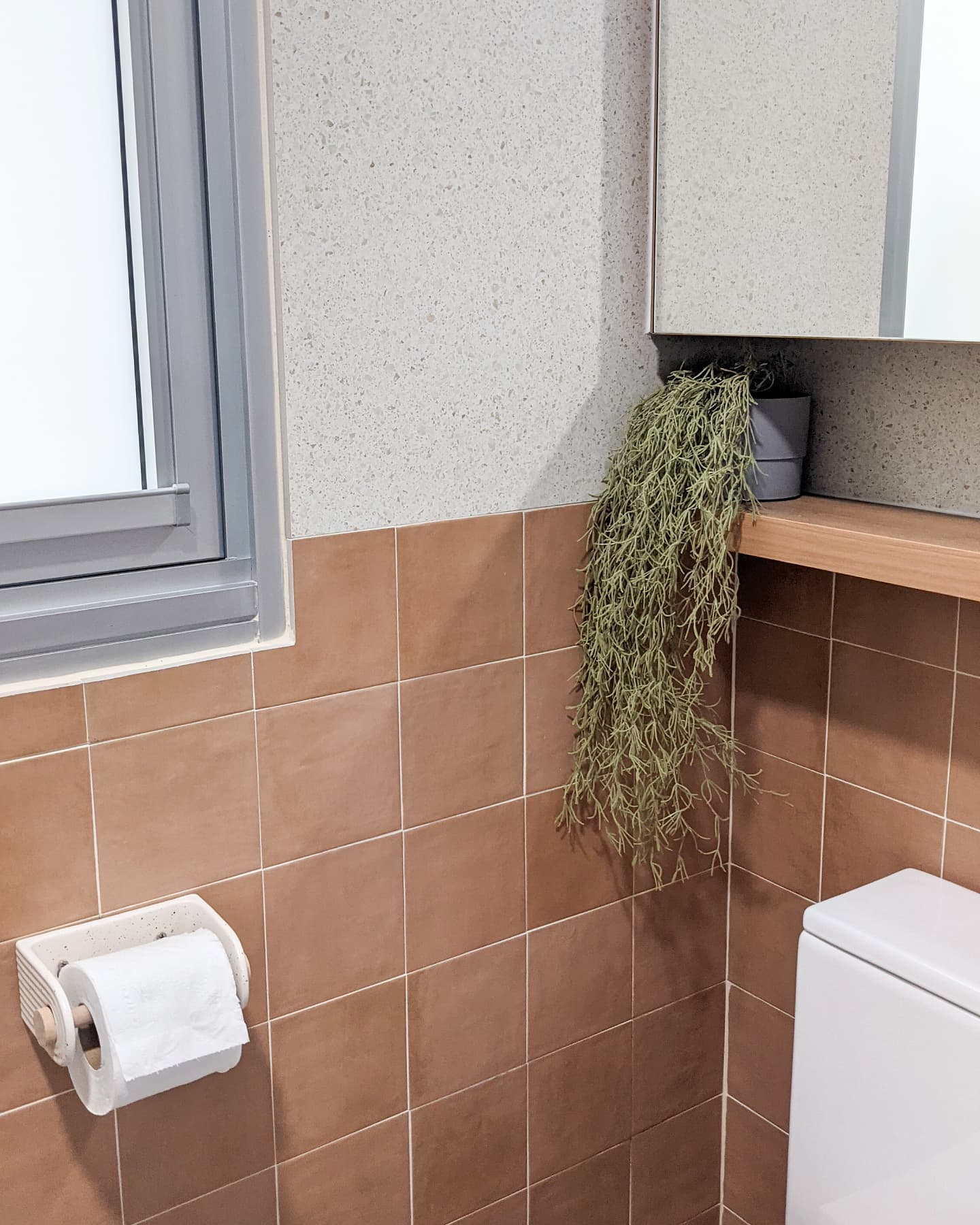 A Safe Haven | Skip to our Loo - Brown tiled bathroom wall, beige window frame, green plant hanging from ledge, white toilet