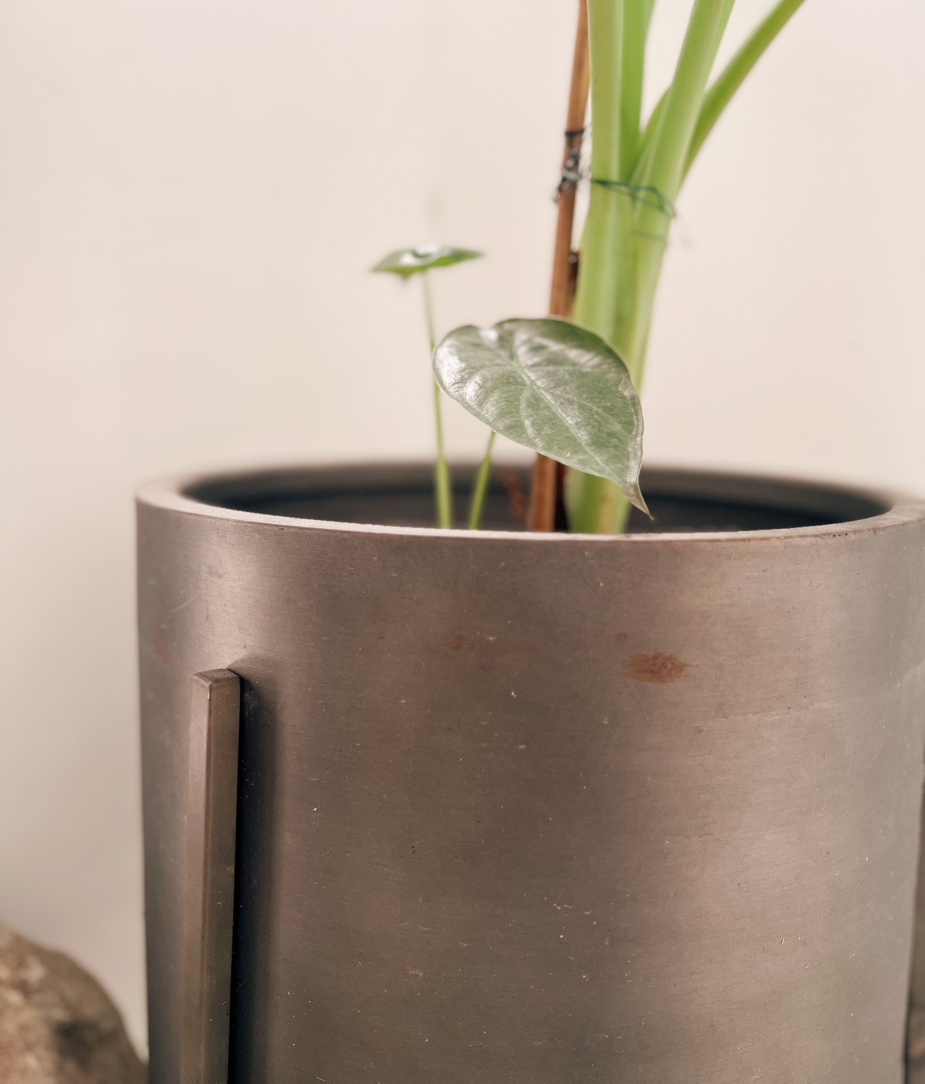 Al Fresco Serenity: Our Corridor Table and Plants