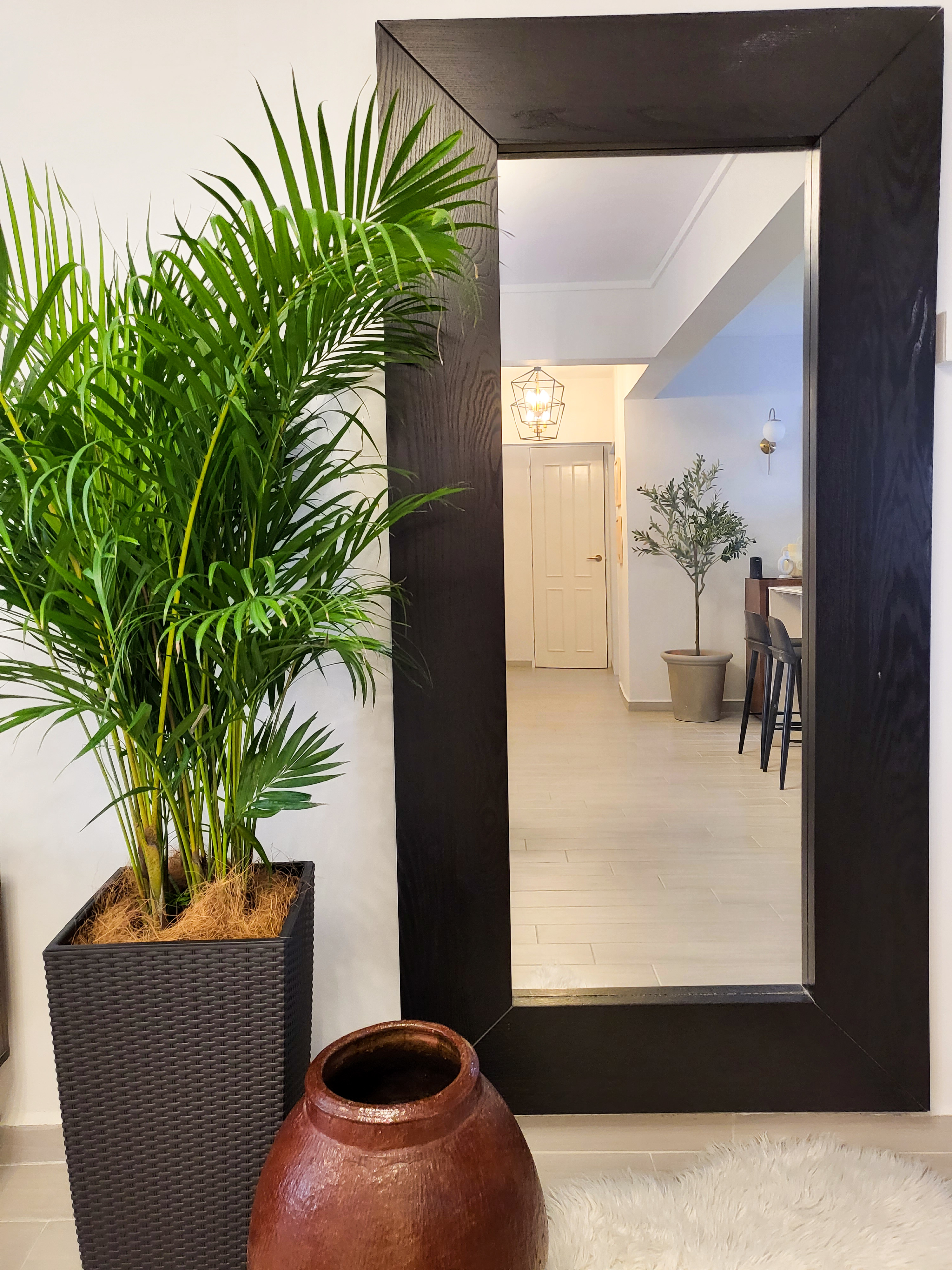 Warm & Private Foyer Space In the Heart Of Bedok Reservoir - Green potted plant, dark wooden frame, white wall, modern