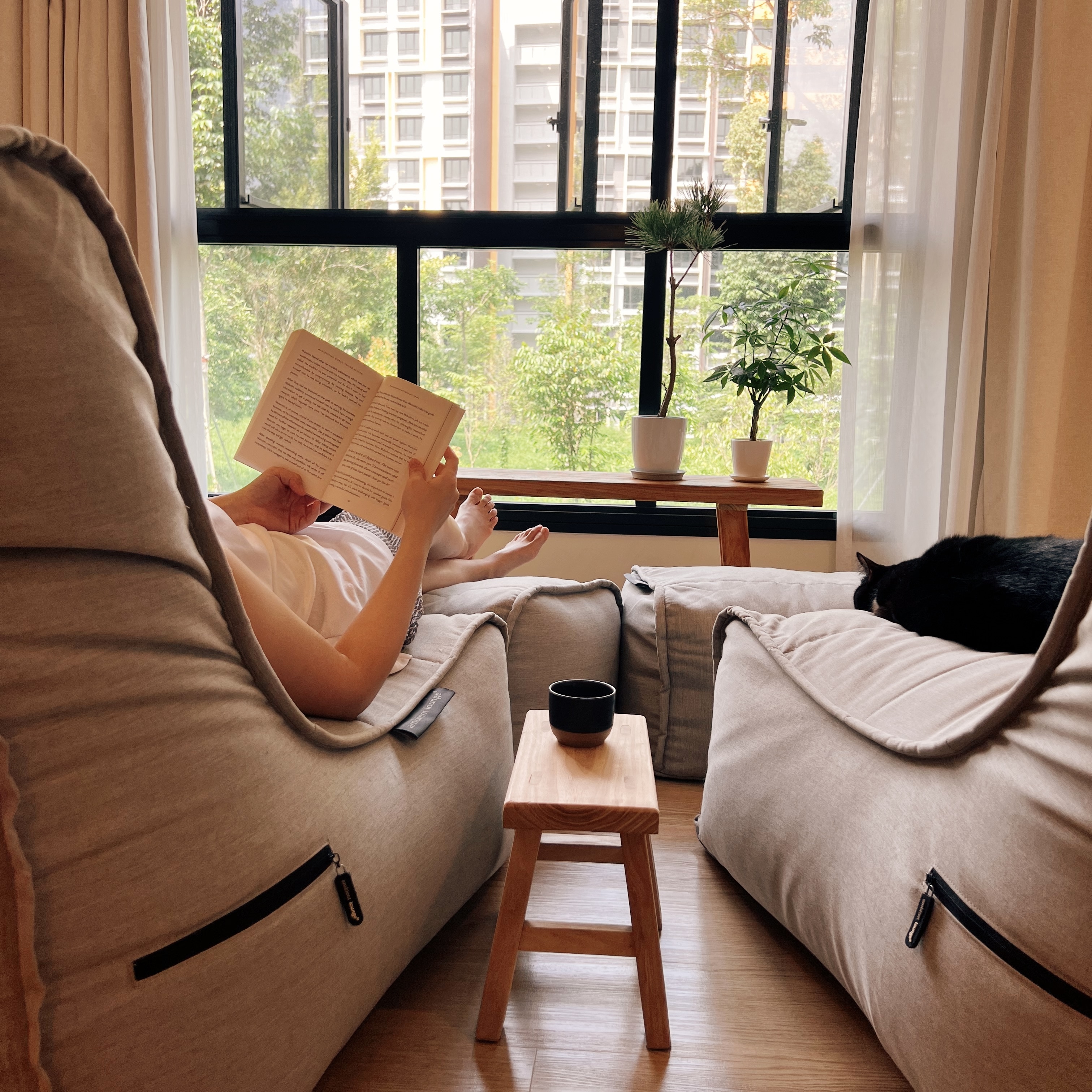 Projecting Tranquillity: A TV-Free Home - Lovingly reading a book on a cozy sofa, person relaxing with feet up, indoor cat