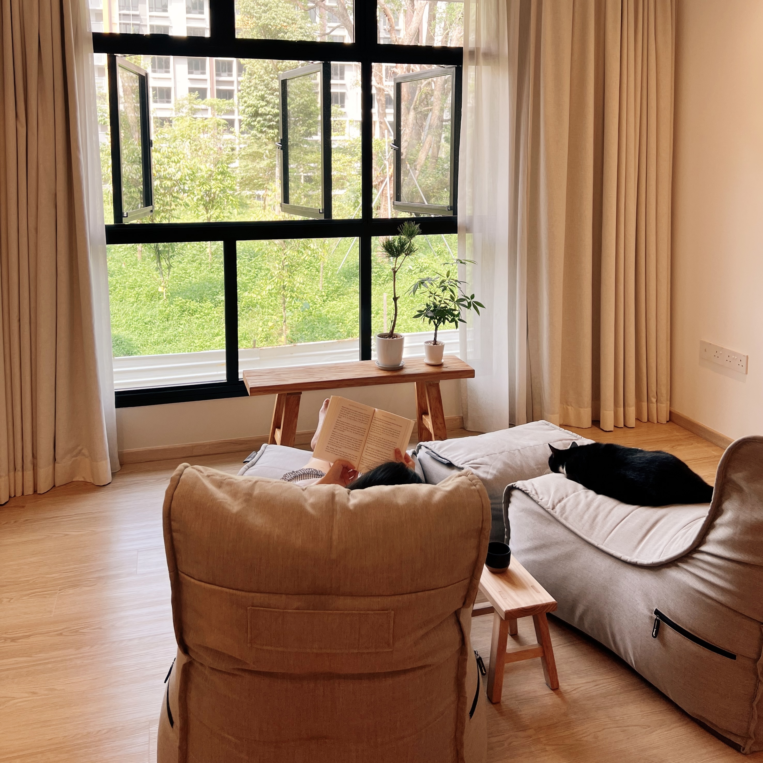 Projecting-Tranquillity:-A-TV-Free-Home