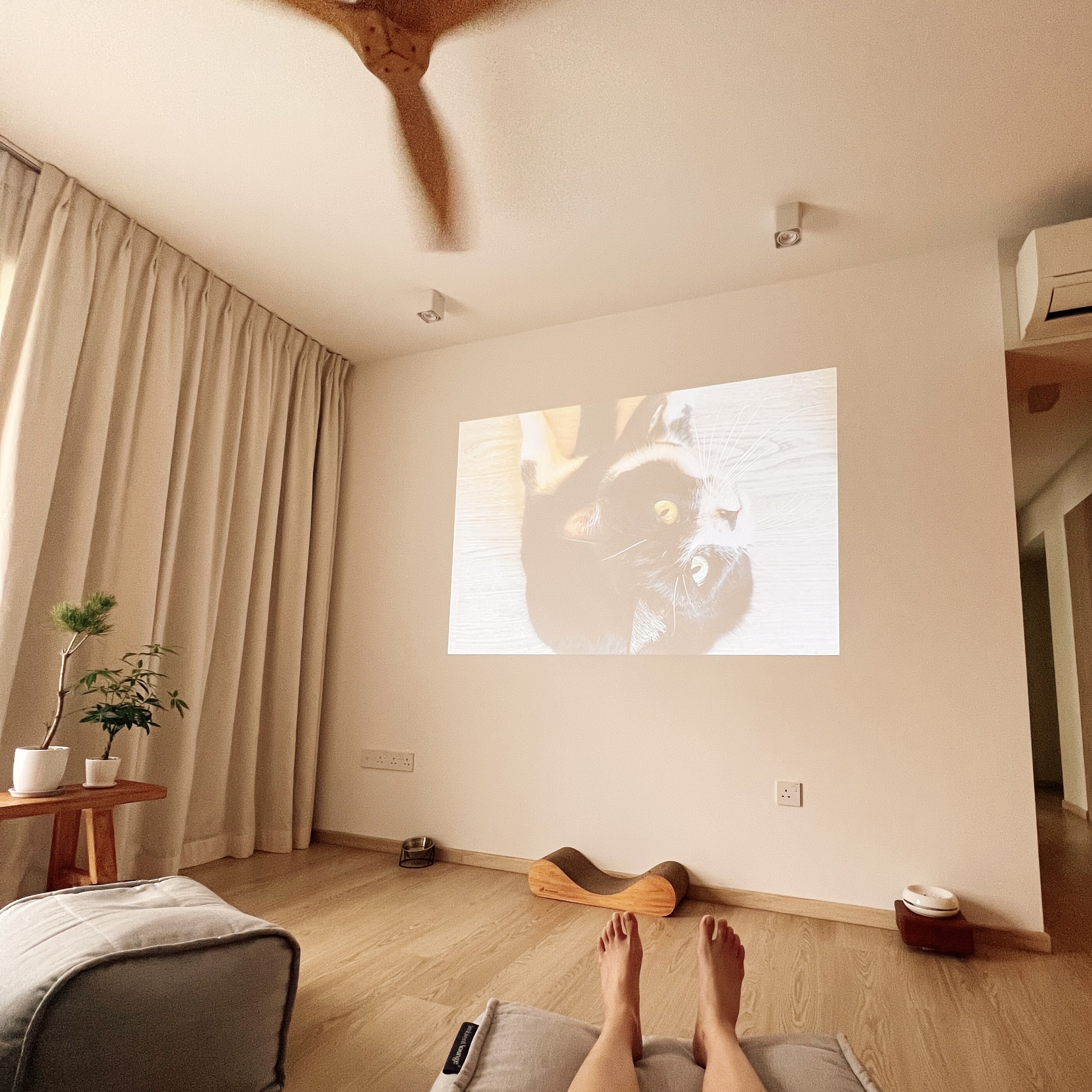Projecting Tranquillity: A TV-Free Home