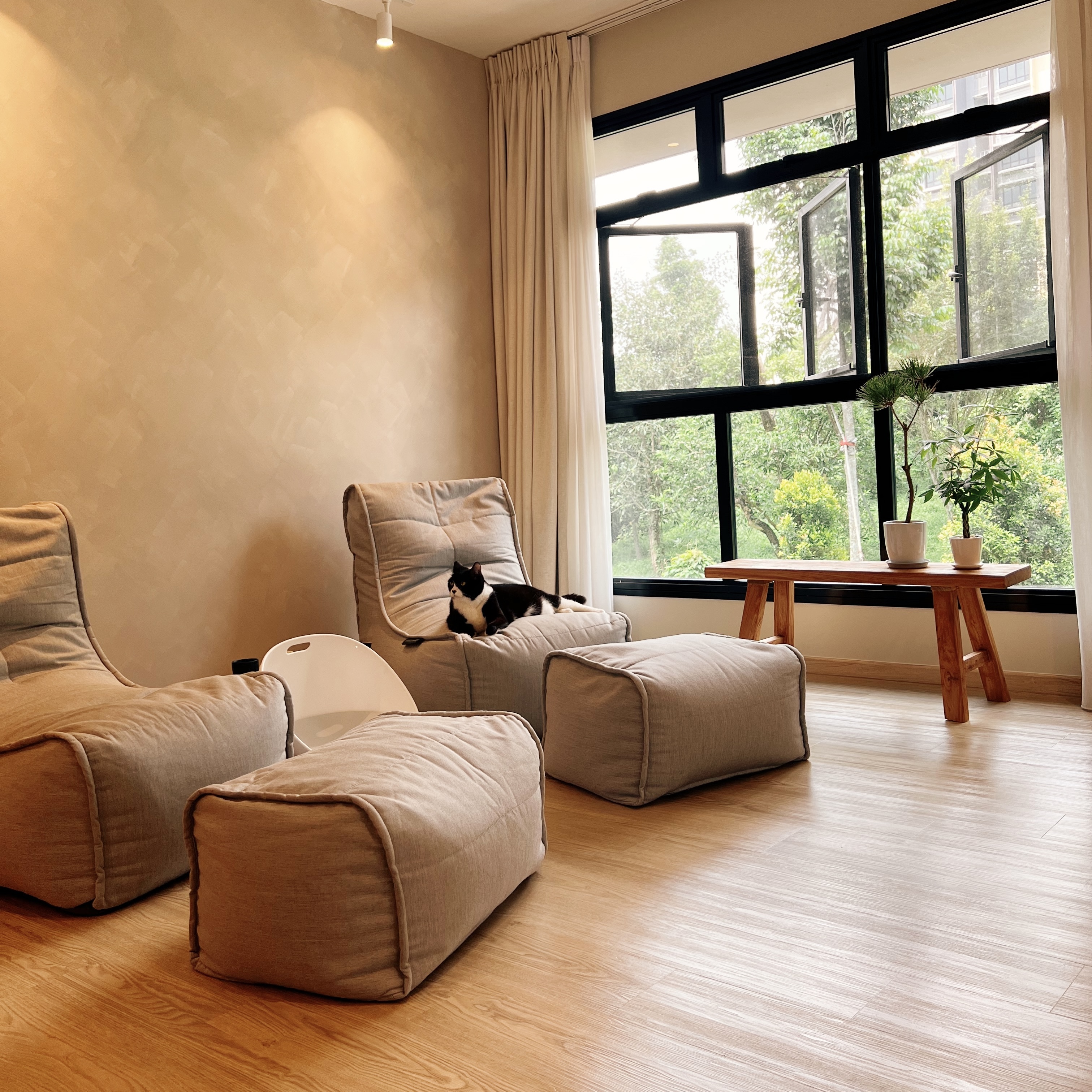 Projecting Tranquillity: A TV-Free Home - Cream-colored sofa, beige ottoman, wooden floor, large window, indoor cat, indoor