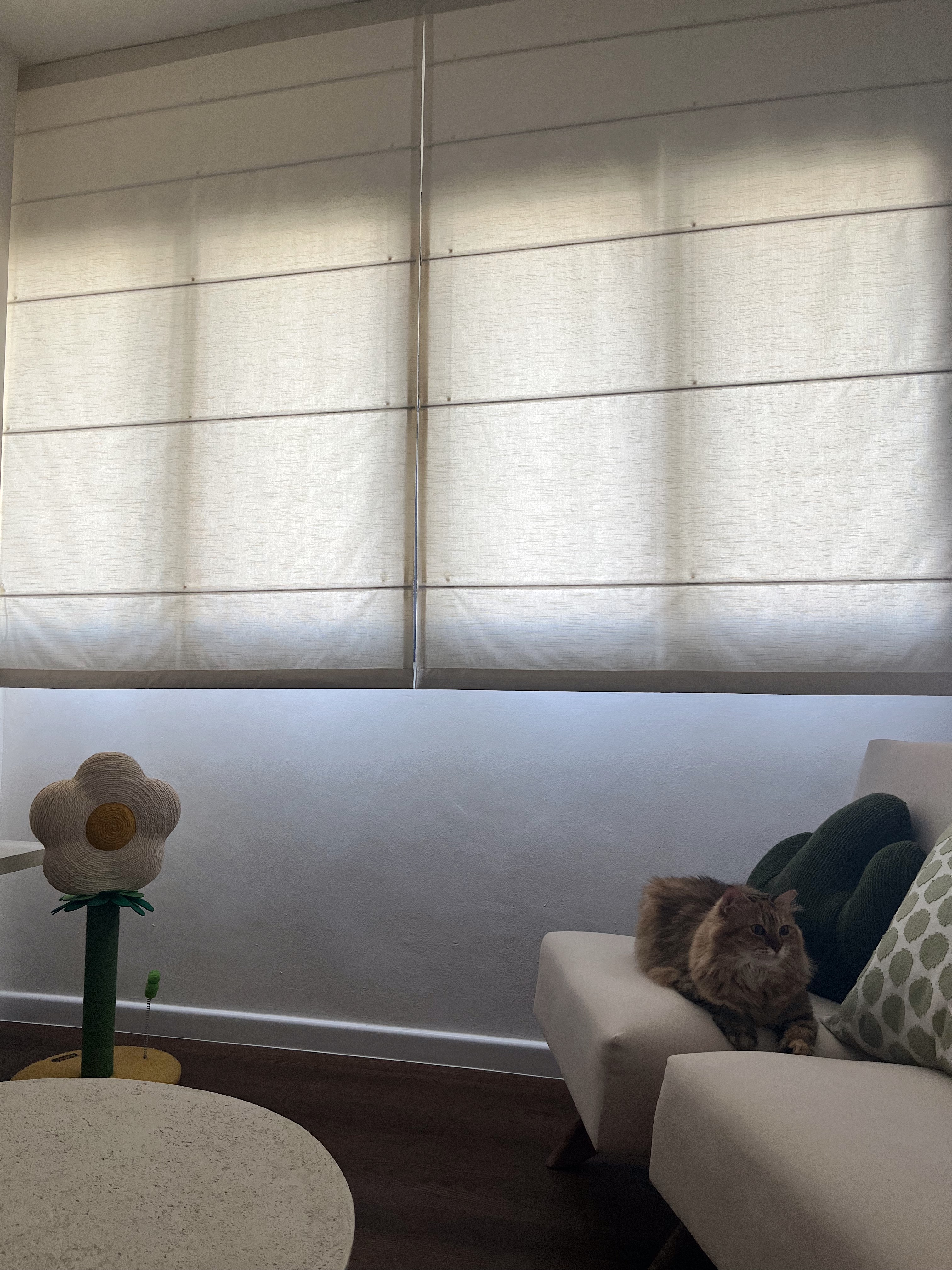 Spicing Up Small Living Spaces  - Large window with sheer curtains, cat sitting on beige sofa, green knitted throw pillow