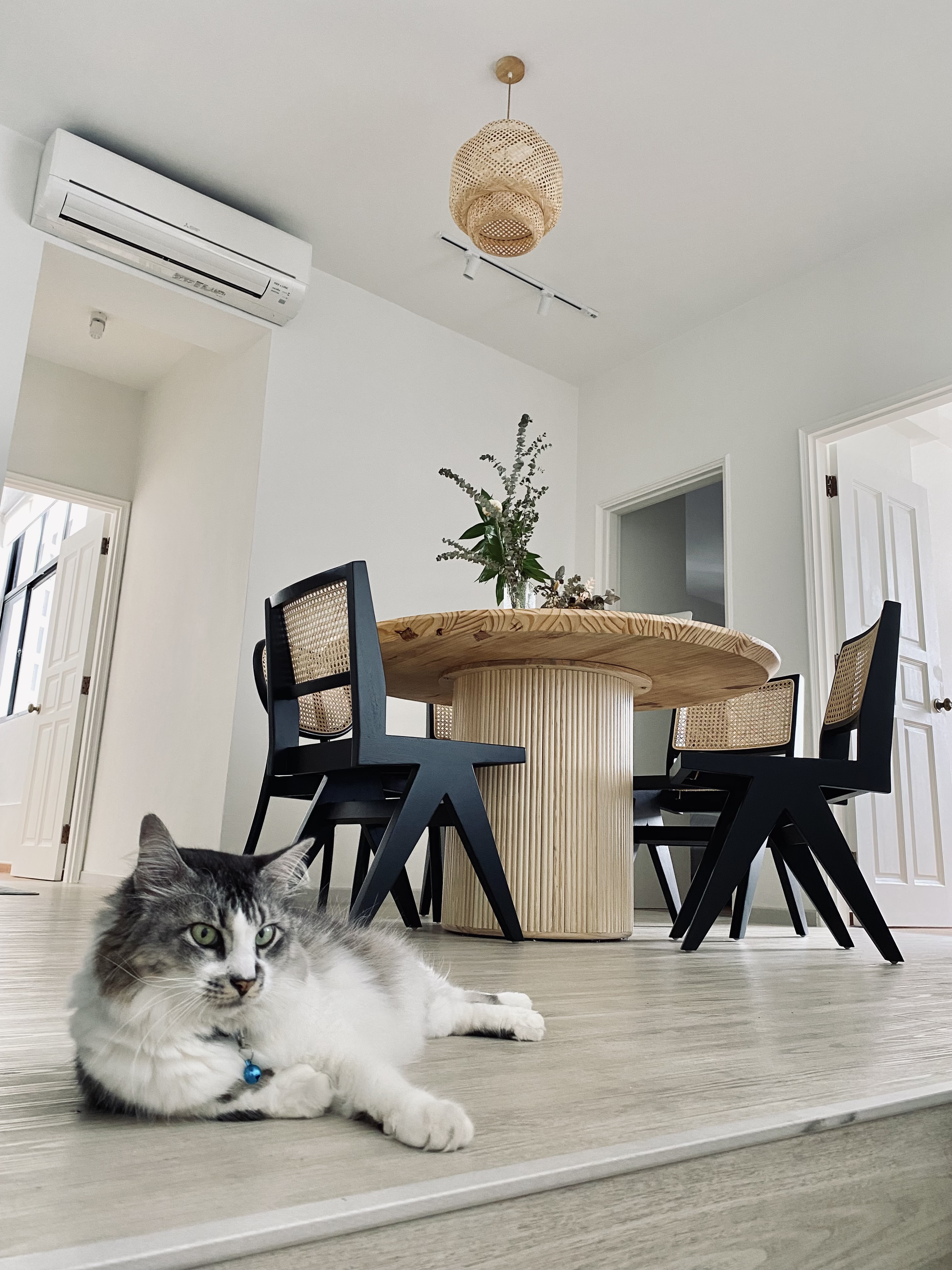 Cozy Dining area with Natural Elements - modern dining room, minimalist design, round table, black chairs, woven chair, cat