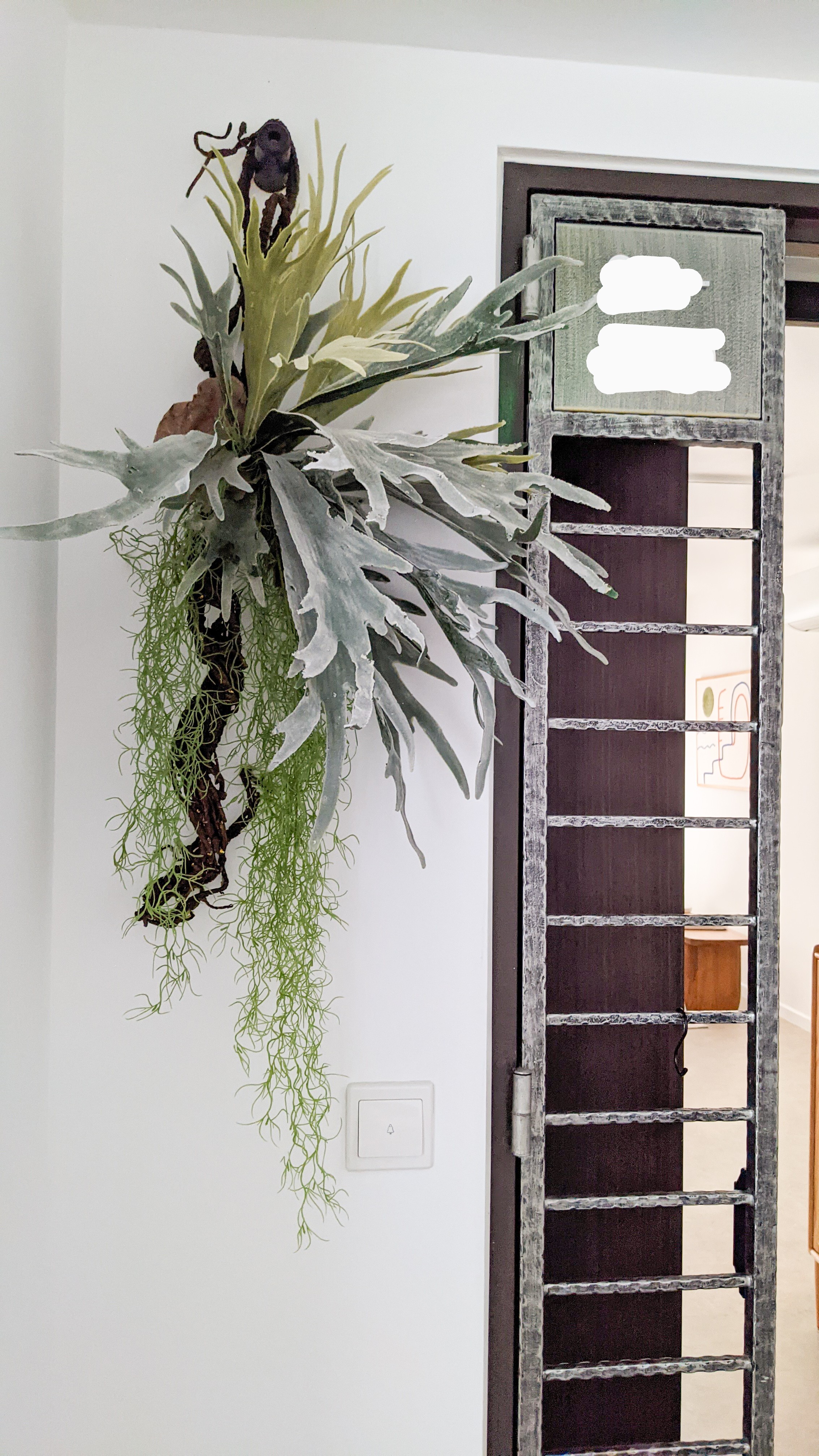 Enter in | Welcoming our Guests - Framed plant with green and gray leaves, hanging from a white wall, rustic wooden ladder