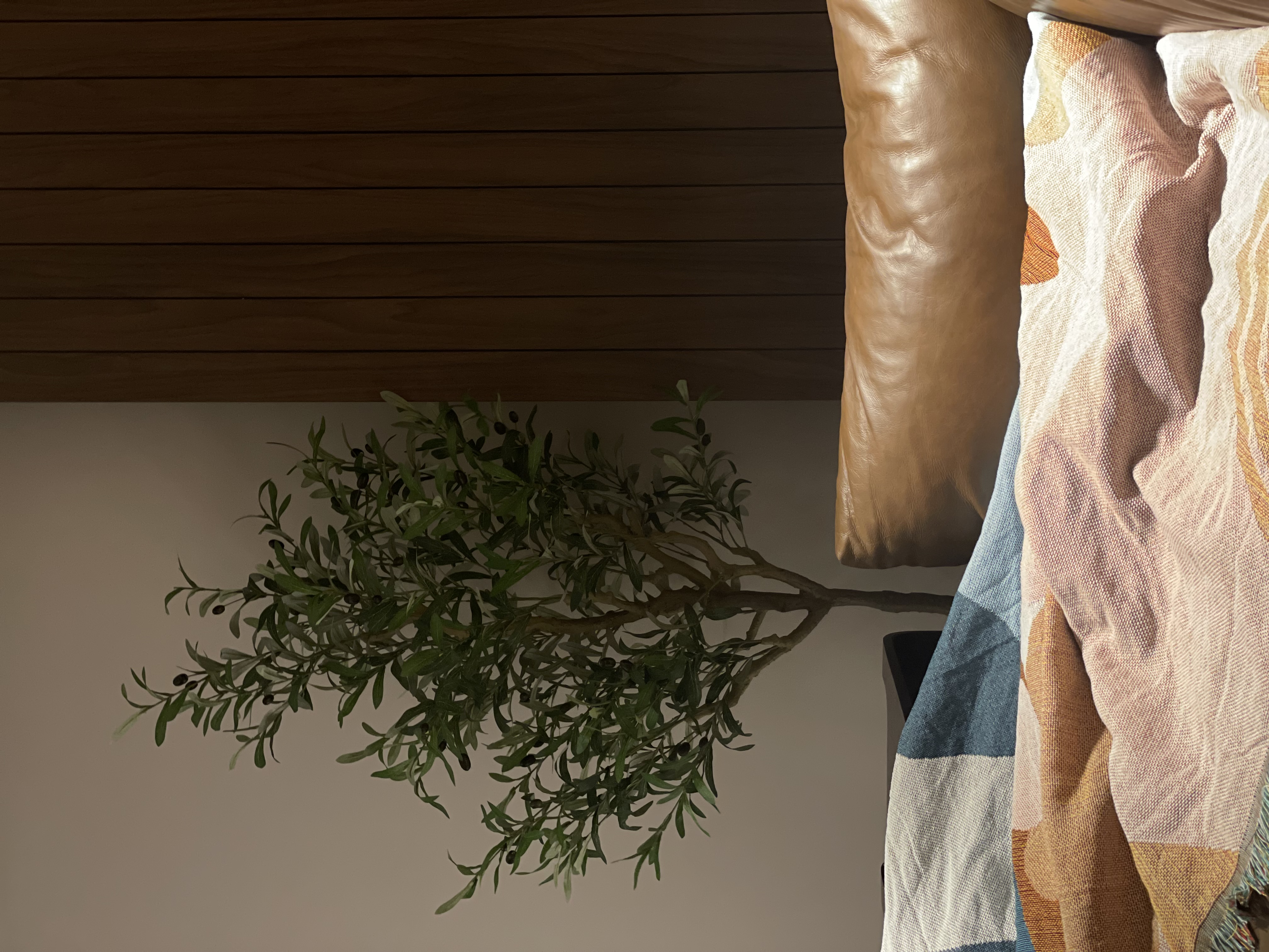 Living area - how we transformed 2 rooms into 1 - wooden wall, cozy room, natural light, plant, abstract pattern, textured