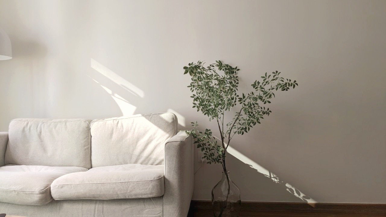 Living Room: Netflix, chill, fall asleep till 3am - Light streaming through window casts shadows on wall, soft beige sofa