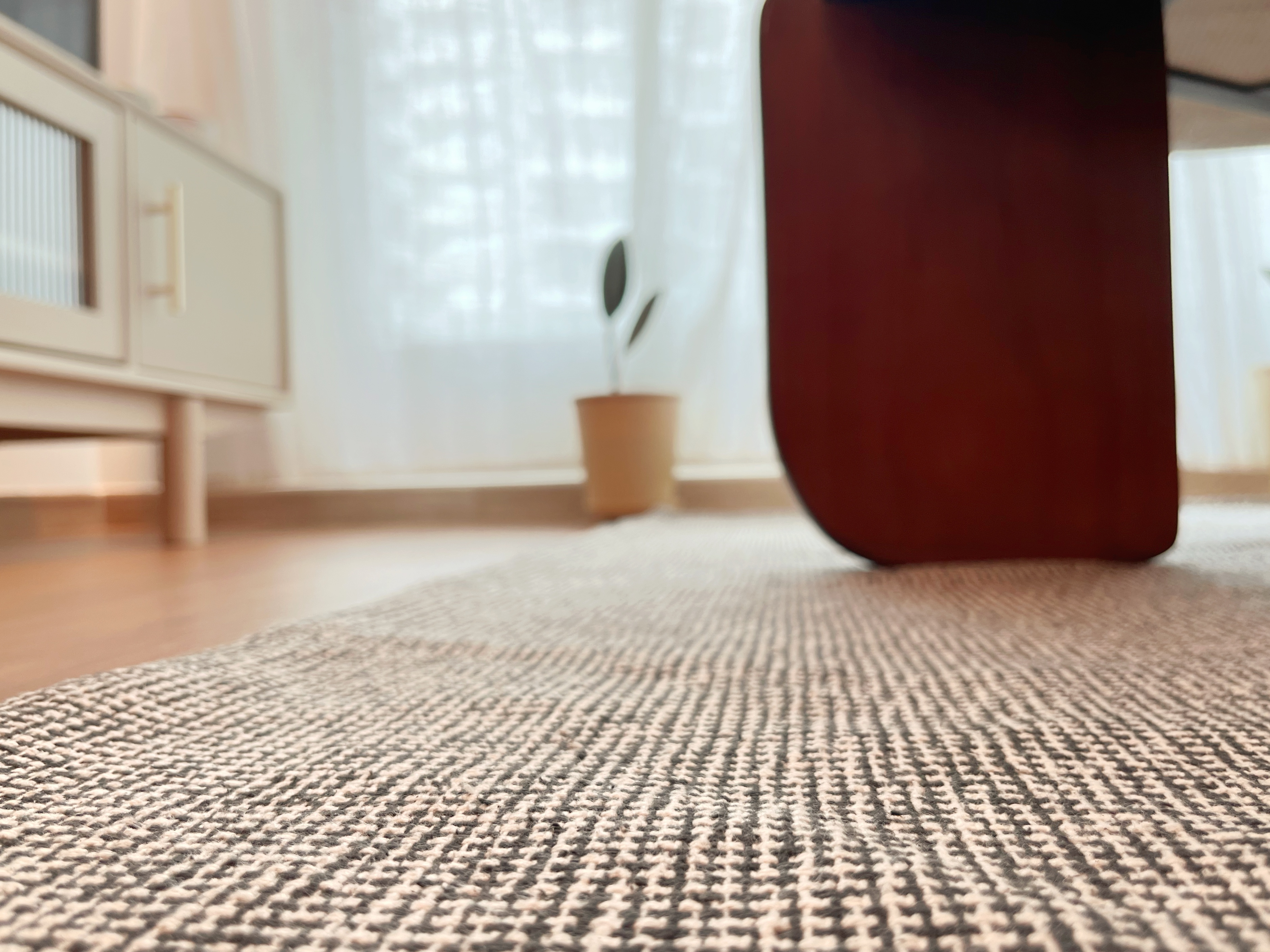 Living Room: Netflix, chill, fall asleep till 3am - Soft, textured, beige rug, cozy living room, natural light, wooden floor