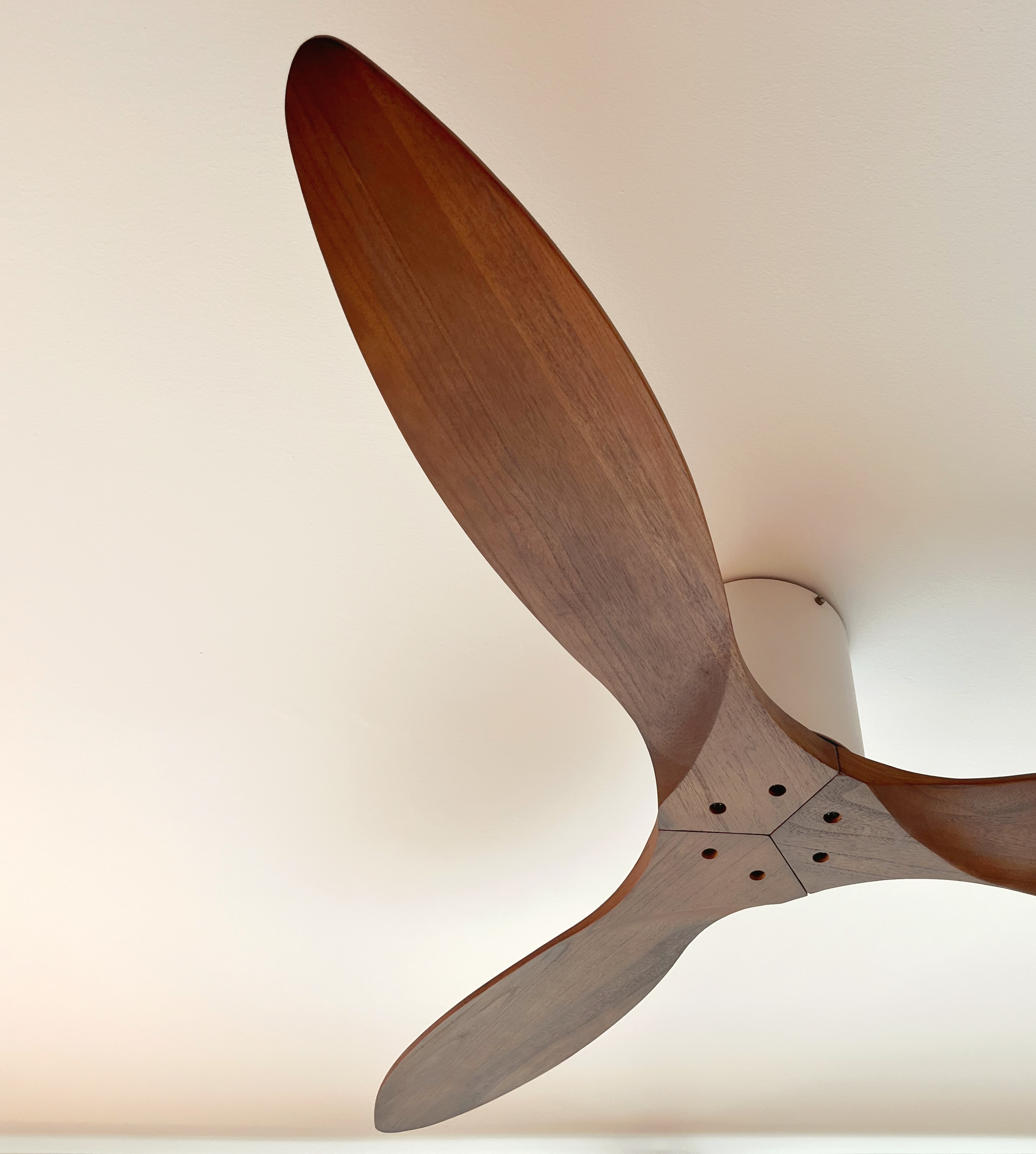 Living Room: Netflix, chill, fall asleep till 3am - Wooden ceiling fan blades, minimalist design, modern aesthetic, curved