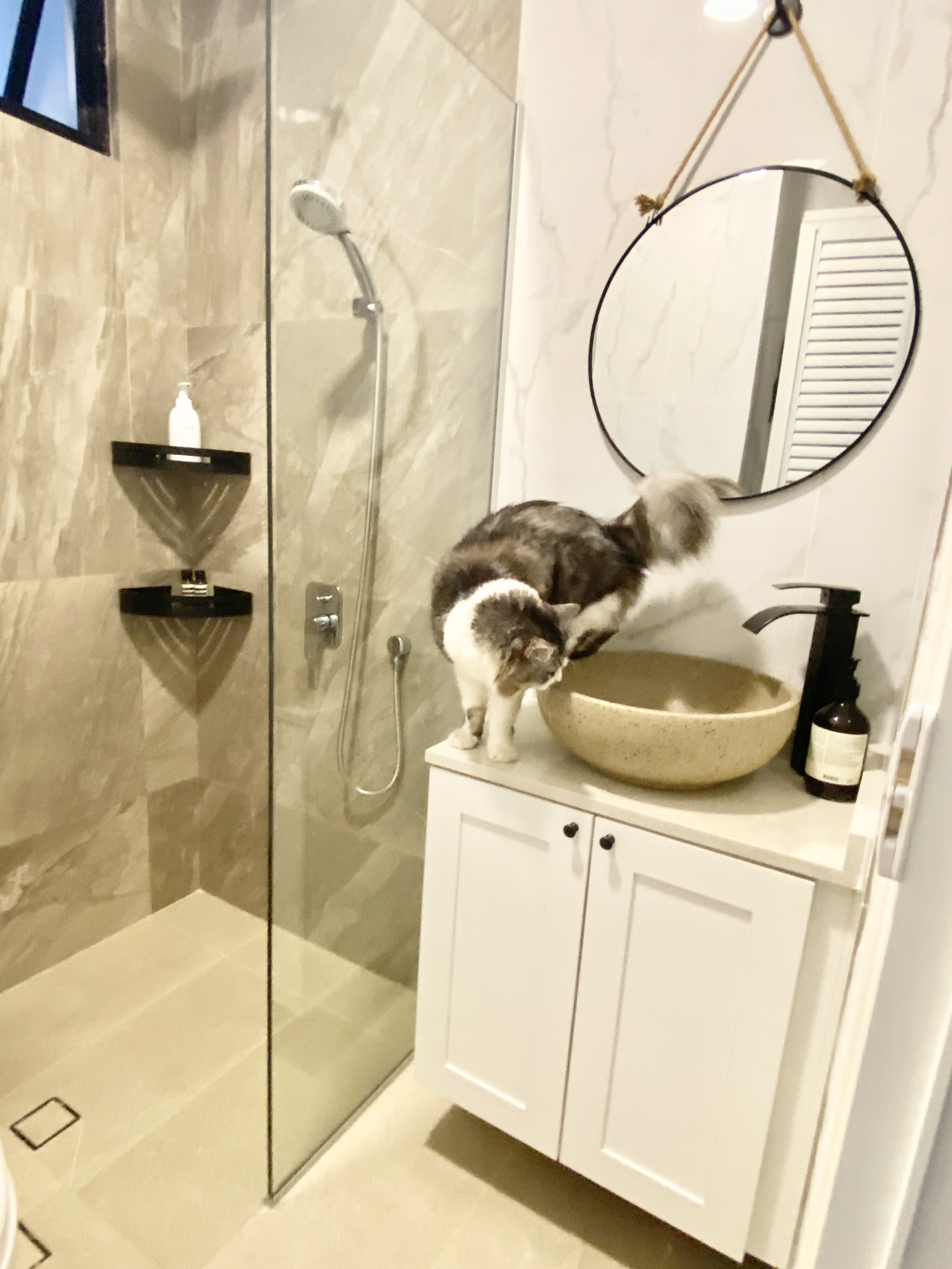 Love walnut wood in bathrooms! - Bathe, cat, sink, vanity, mirror, shelf, toiletries, soap, bottle, bathroom, modern