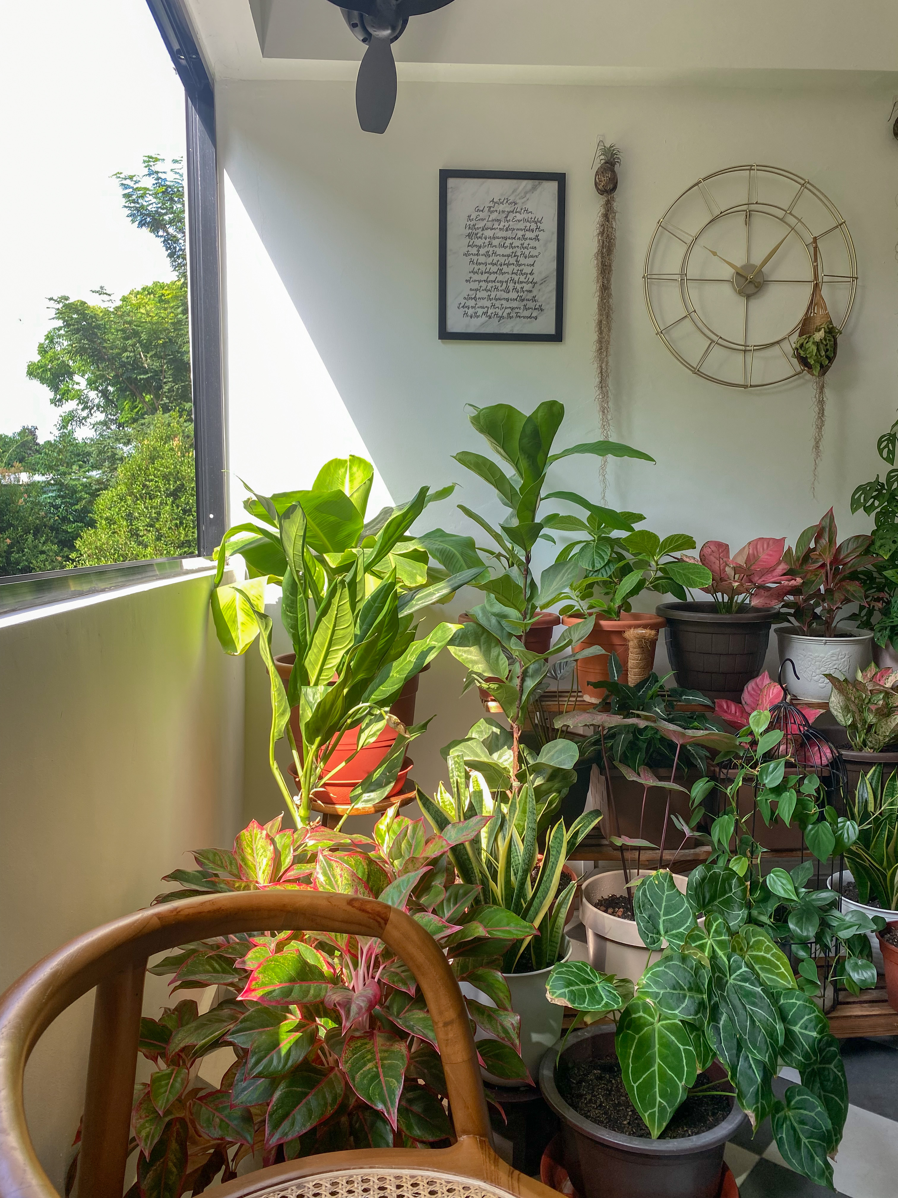The Best of Bright & Airy Balcony Spaces to Rest and Relax - Large green houseplants, indoor plants, tropical plants, indoor
