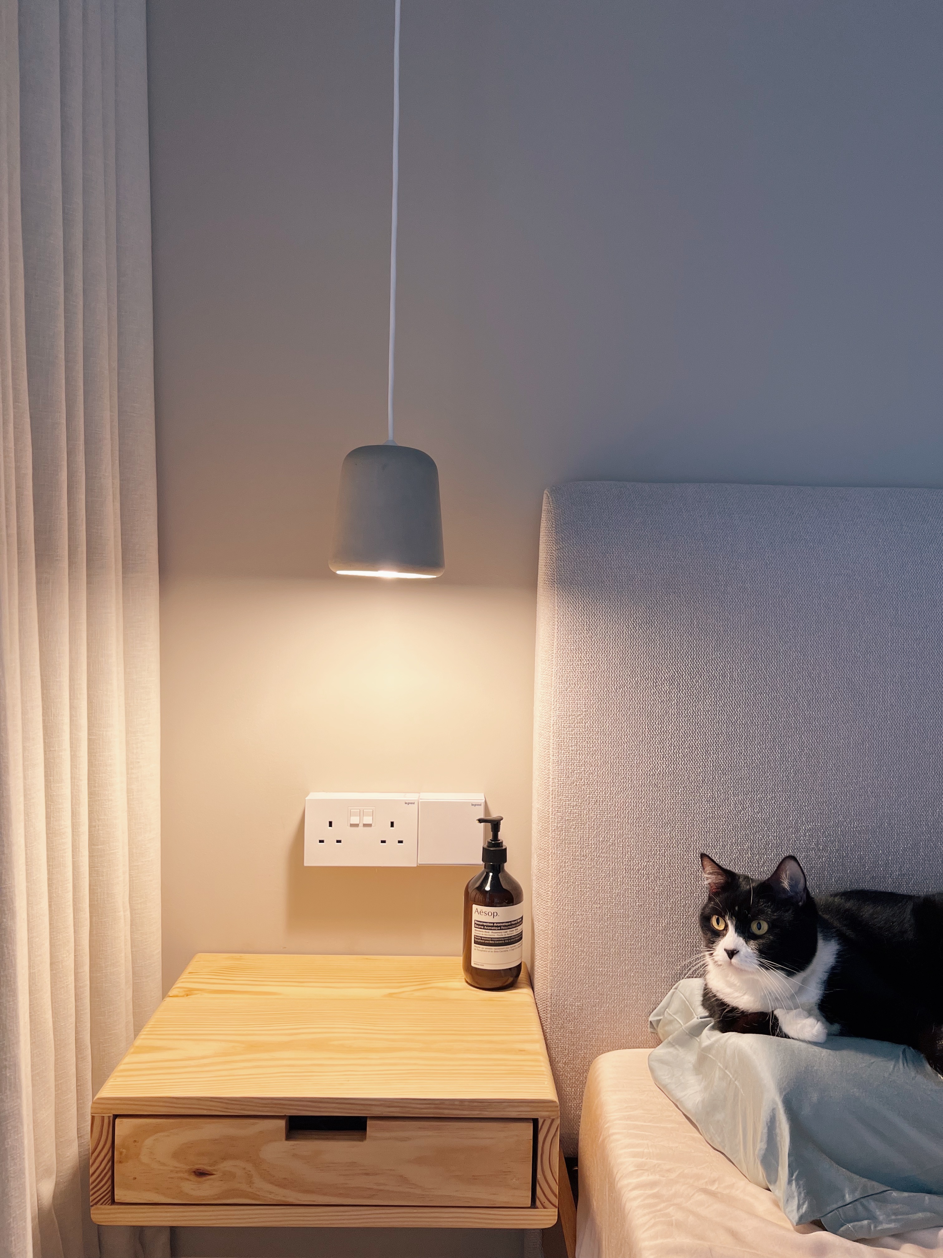 Calmness defined: Our minimalist bedroom sanctuary  - Wooden nightstand, soft lighting, cat sitting, bedside table, modern