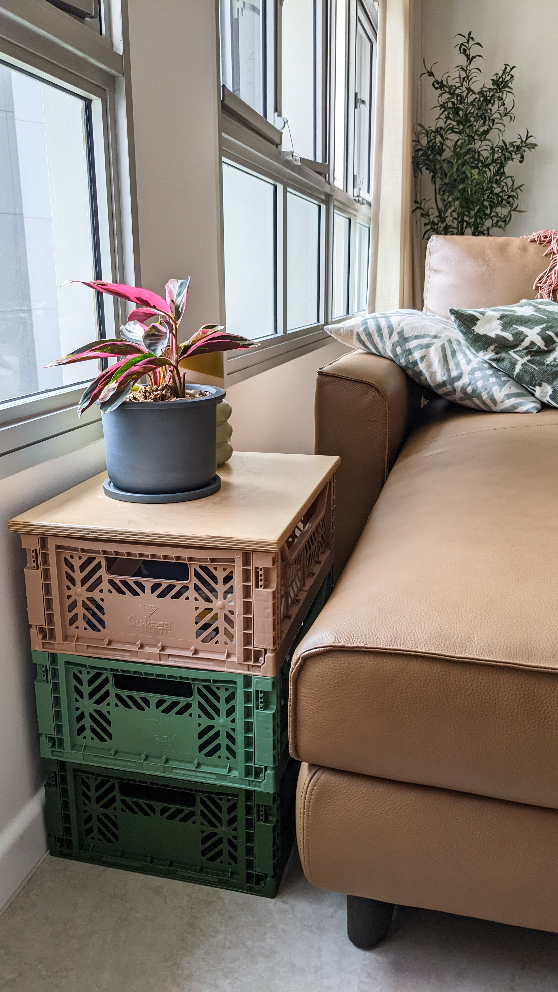 Living Space | More space, more life - window sill, potted plant, beige couch, green and white pillow, wooden crate, brown