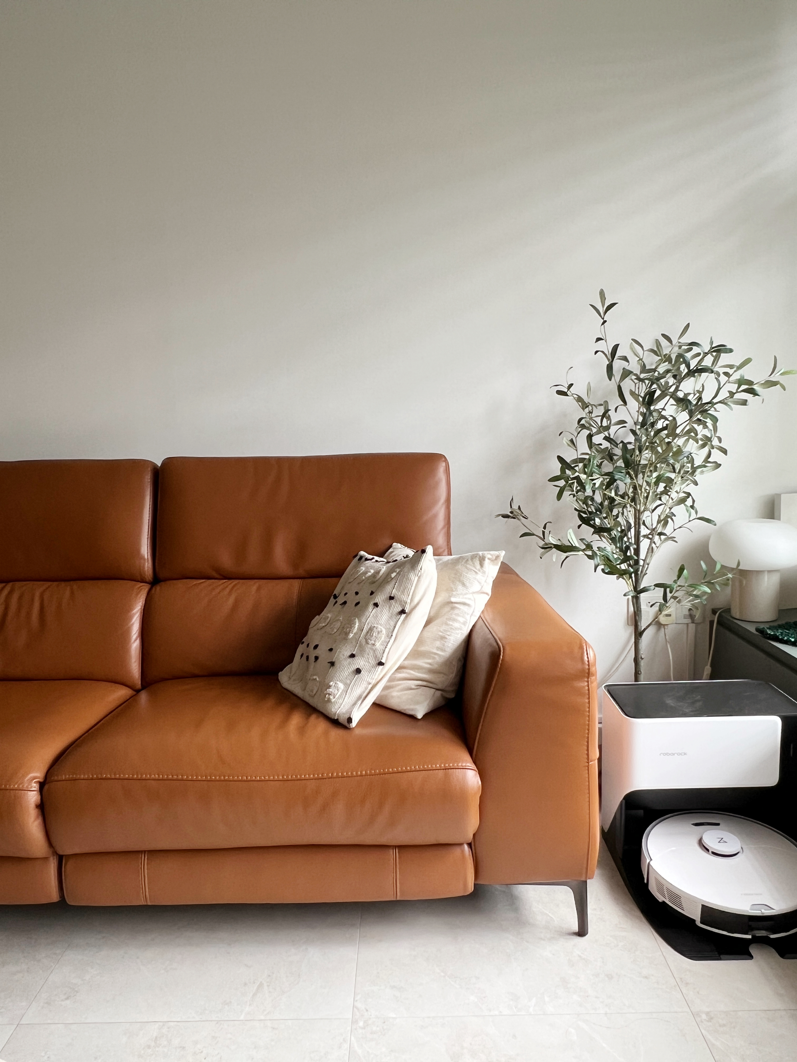 Our Simple but Cozy Living Room