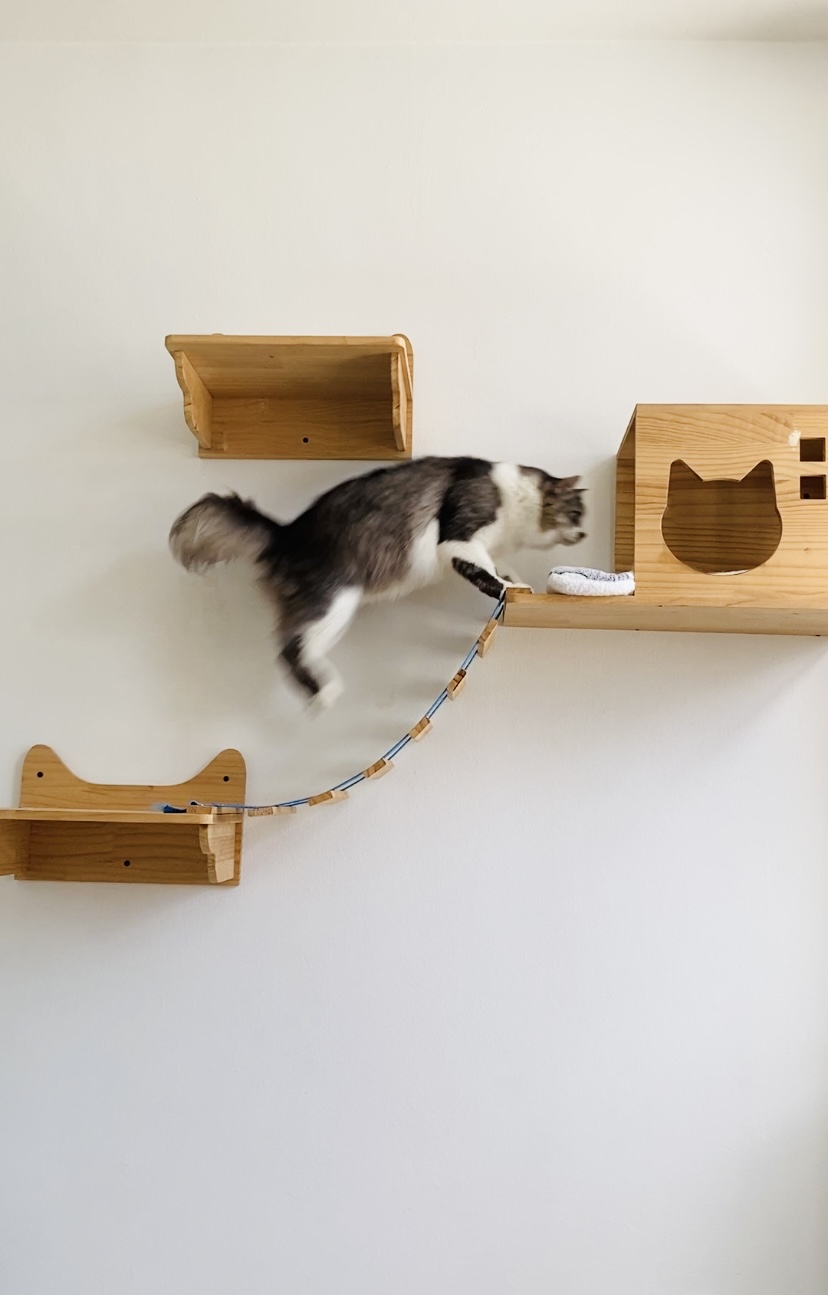 All that your indoor cat needs to stay happy - Cat jumps over wooden cat tree, white and gray cat leaps over wooden cat tree