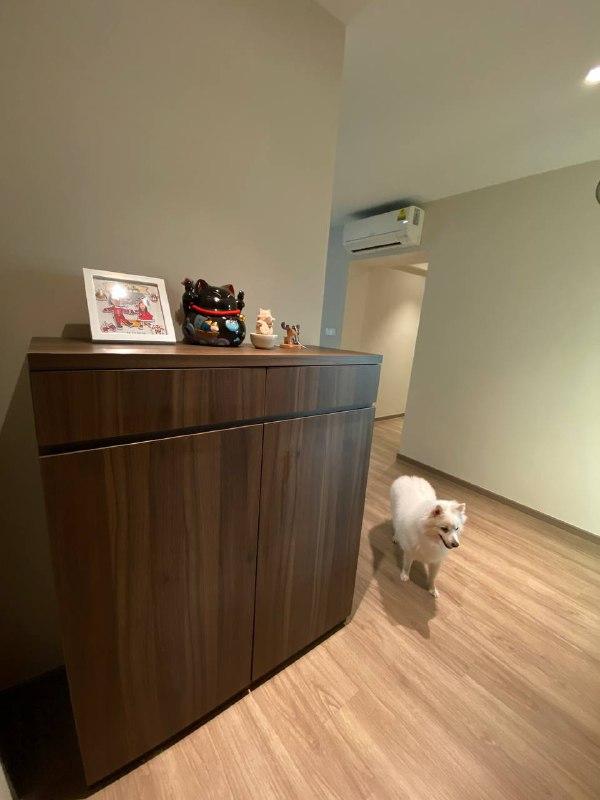 Private & Functional Entryway Through Different Perspectives  - Wooden cabinet, white dog, cozy room, light wooden flooring