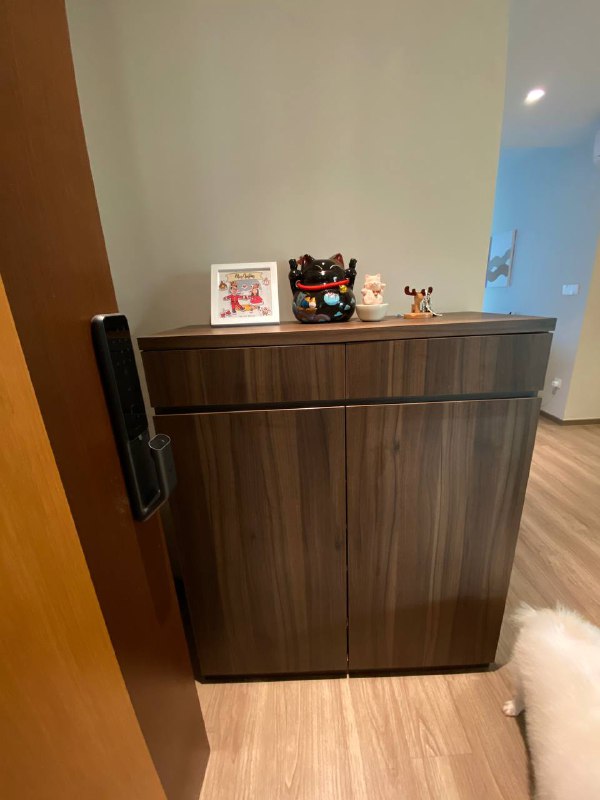 Private & Functional Entryway Through Different Perspectives  - Wooden cabinet, small dog, wooden floor, modern decor, wooden