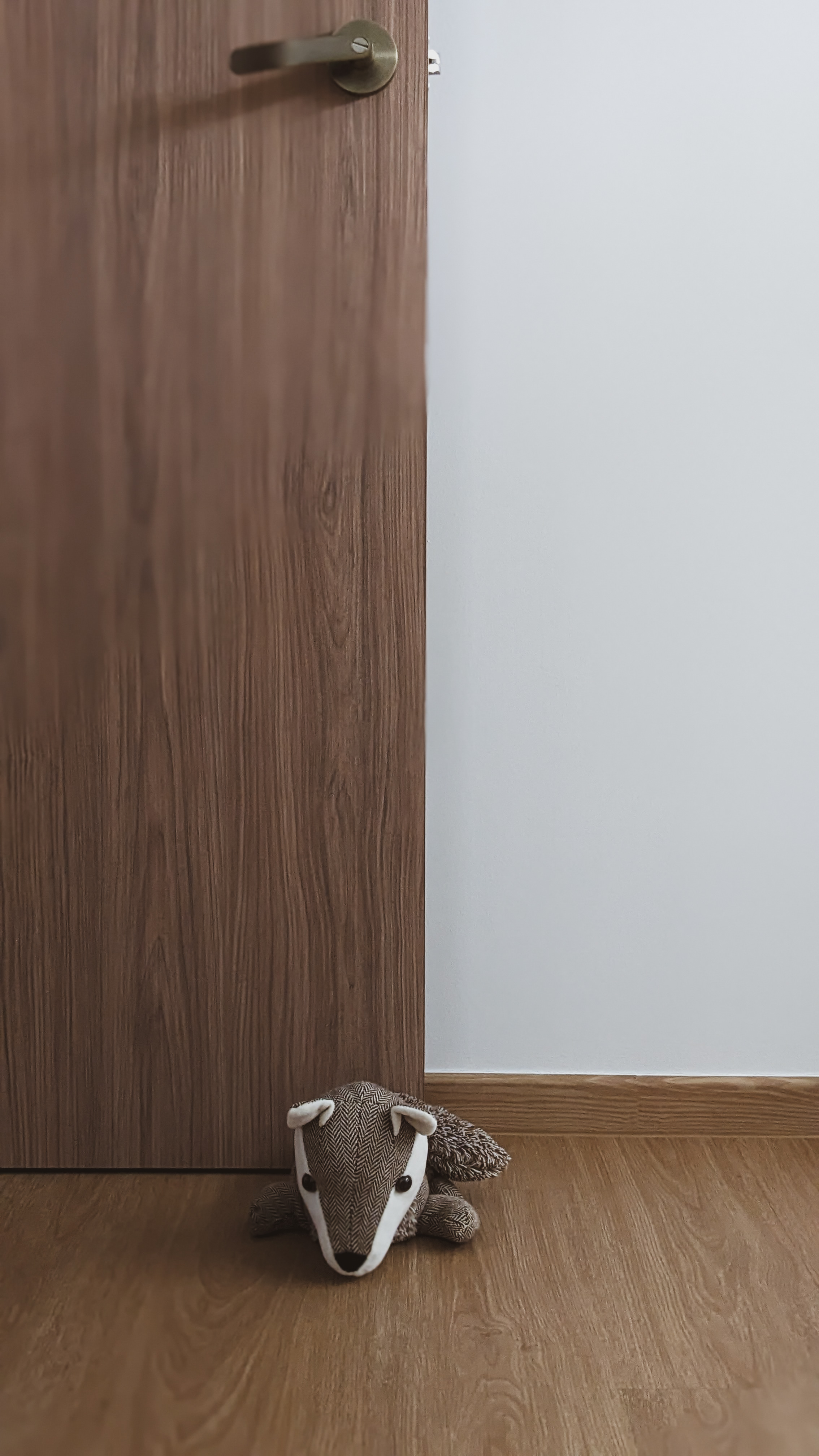 Child's Play | Flourish. Create. Connect. - Wooden door, brown wood texture, small door handle, plush toy fox, wooden floor