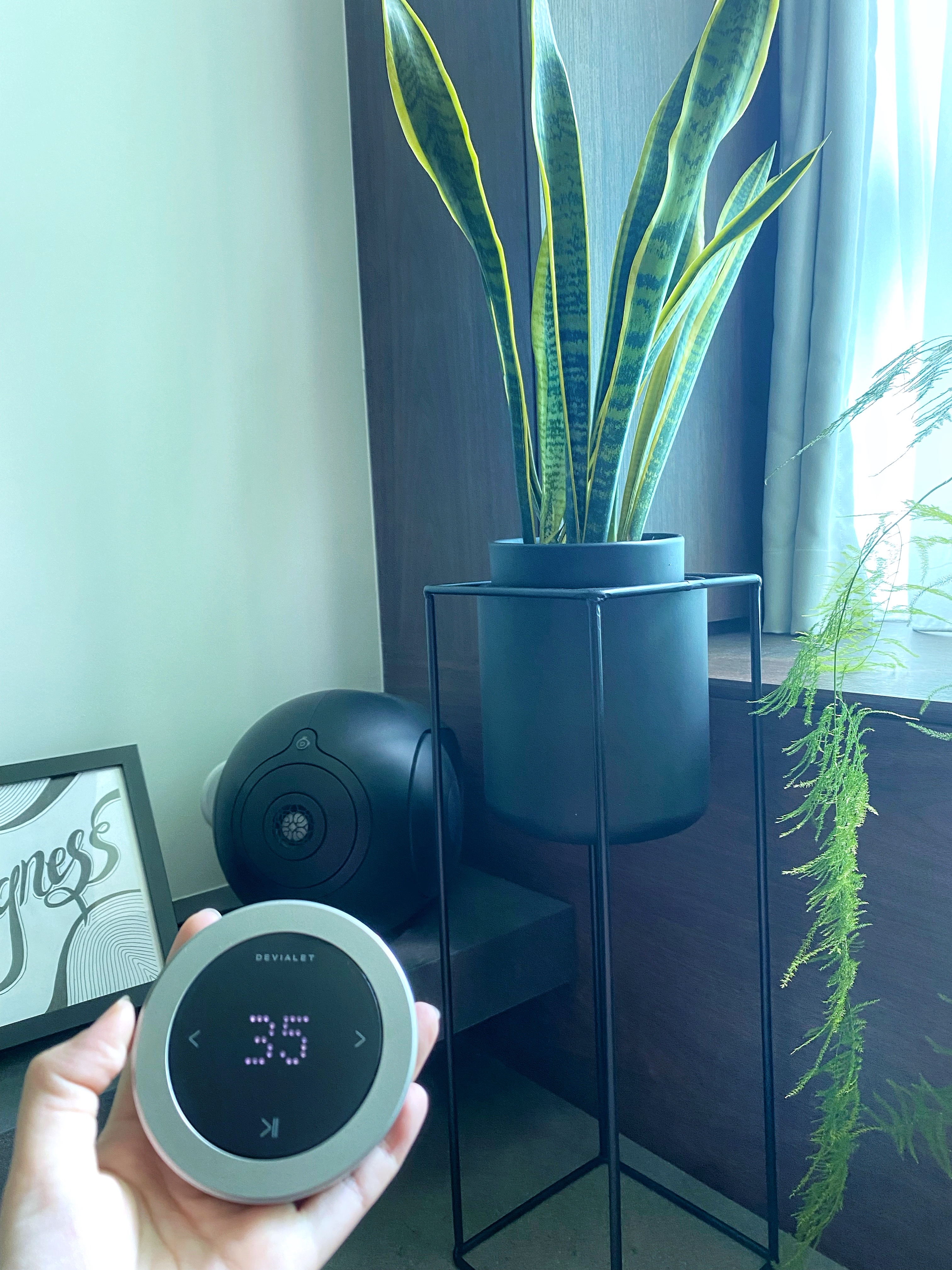 Our fun choice of morning routine - this is what we work hard for - smart home device, digital clock, indoor plant, modern