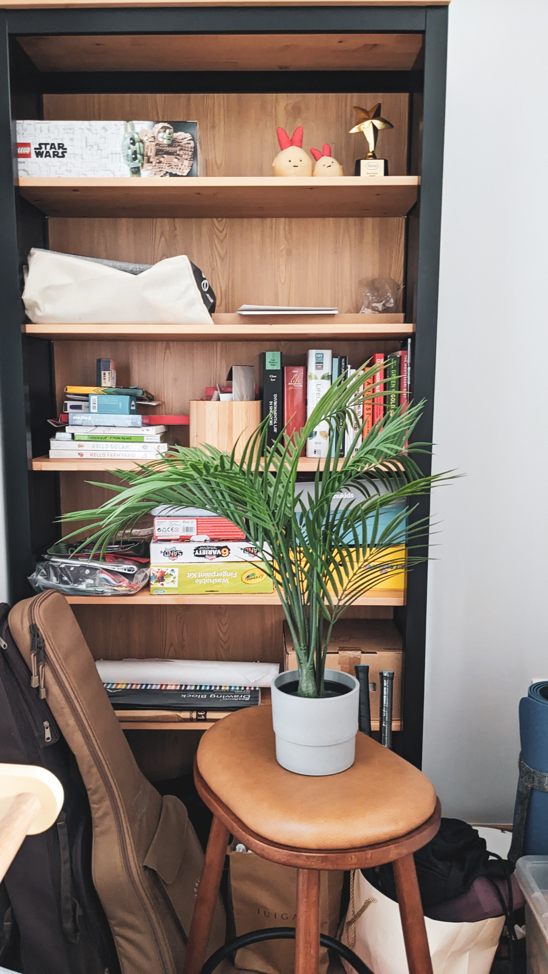 Creating Statements | Every detail counts - Wooden bookshelf, shelves, books, plants, decorative items, LEGO Star Wars, bunny