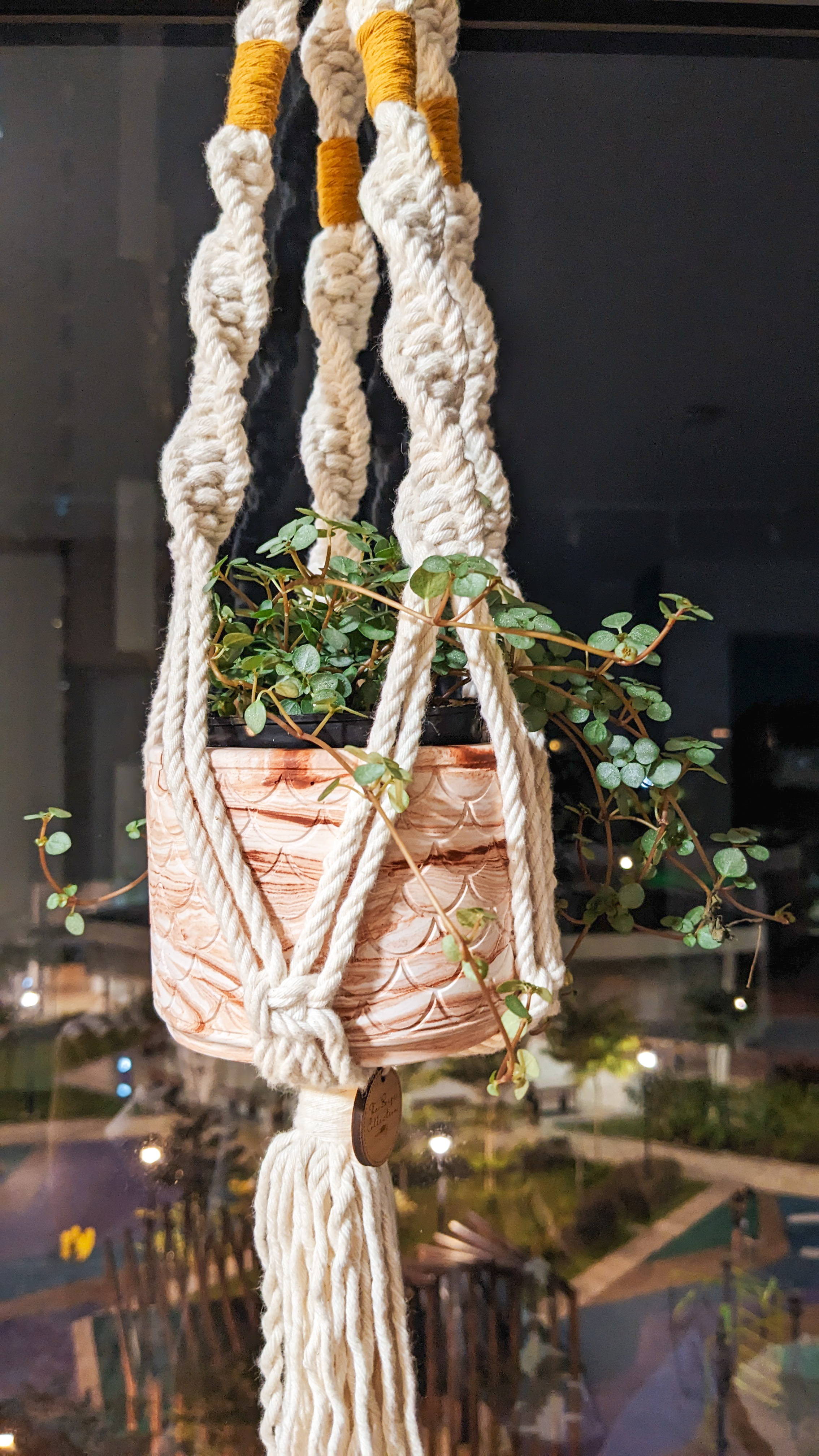 Creating Statements | Every detail counts - Corded hanging plant, white rope, indoor plant, green leaves, indoor garden