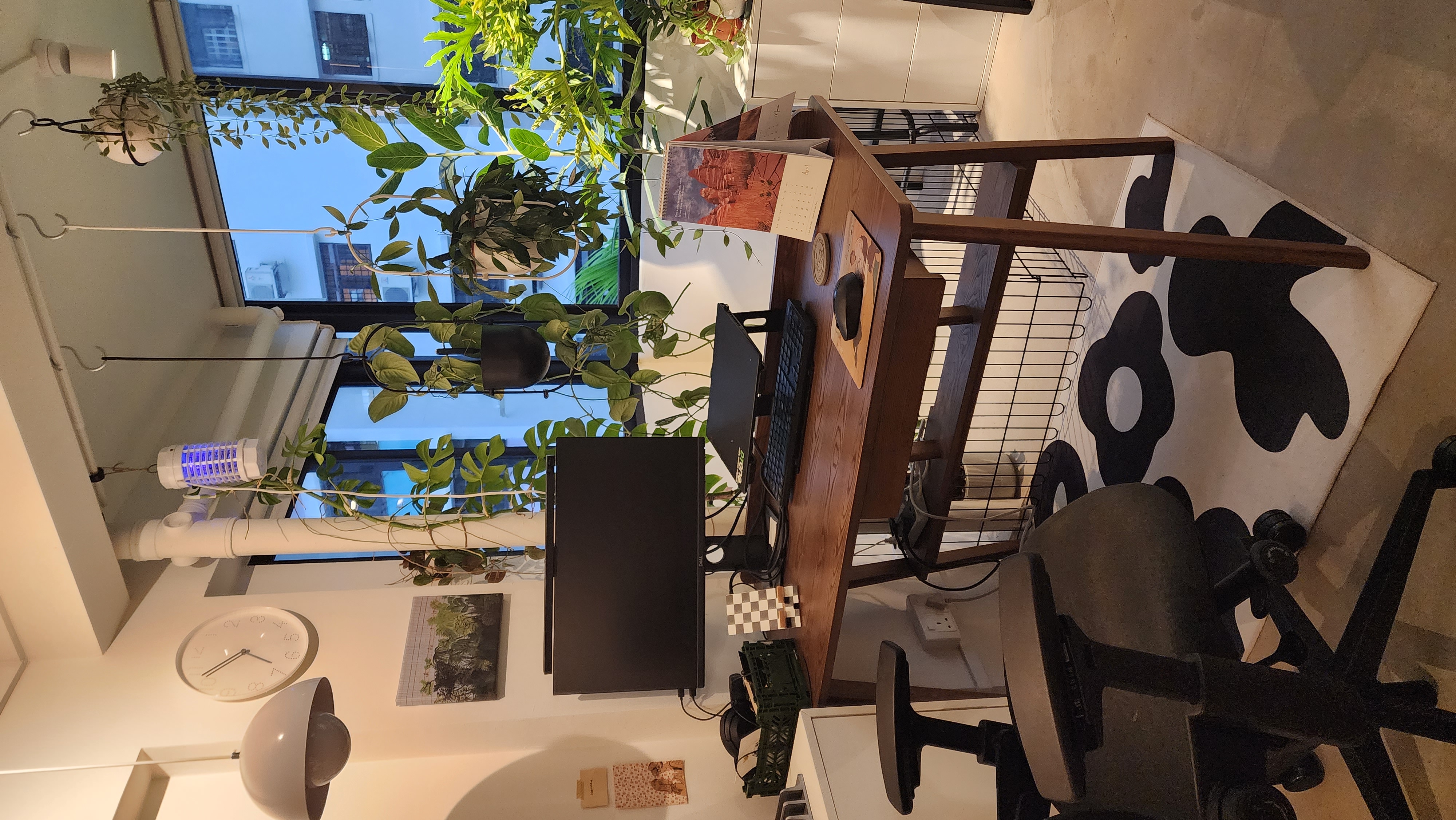 Study room or plant paradise? - Green plants, modern decor, indoor plants, cozy atmosphere, white walls, wooden desk, black