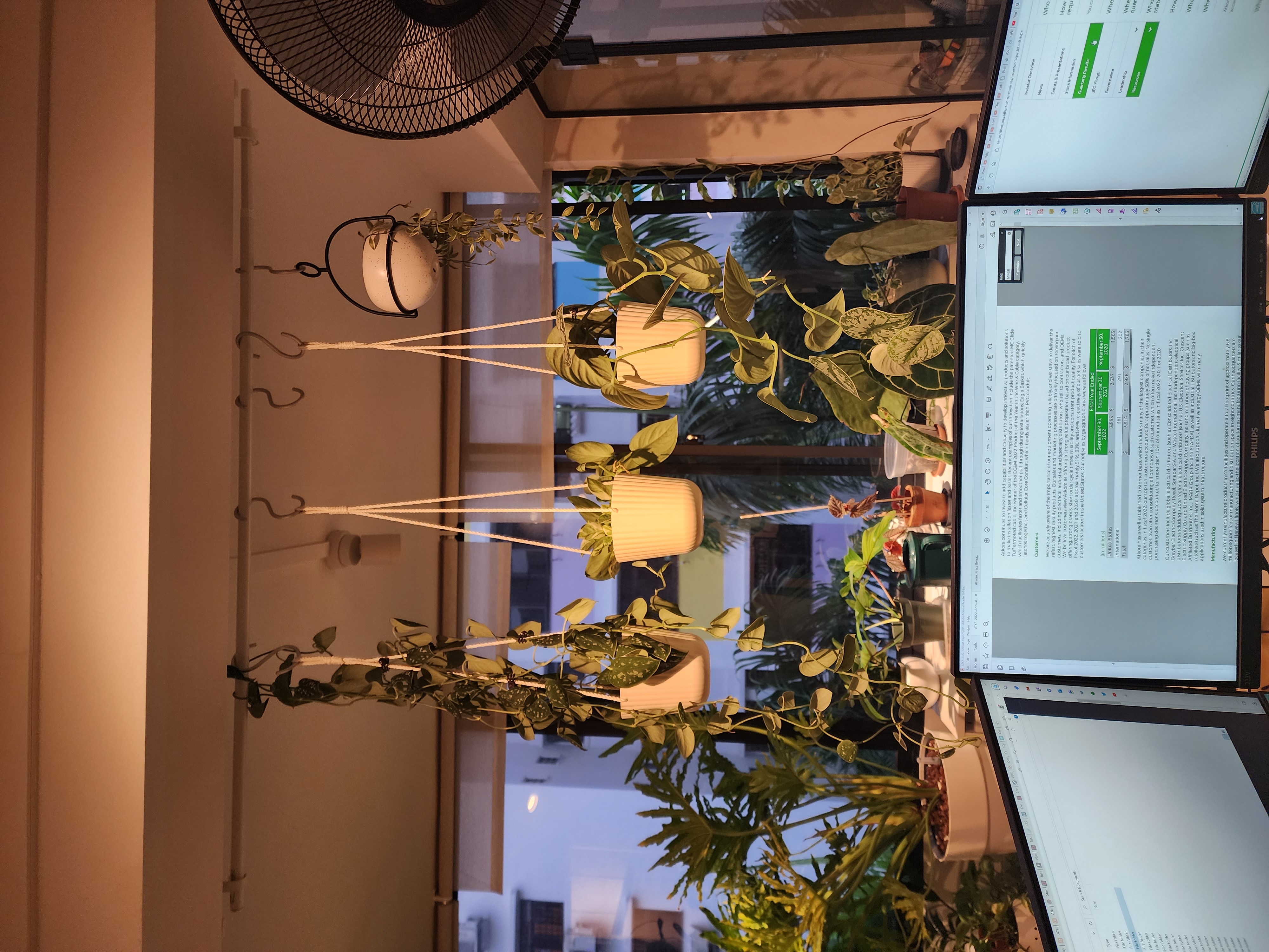 Study room or plant paradise?