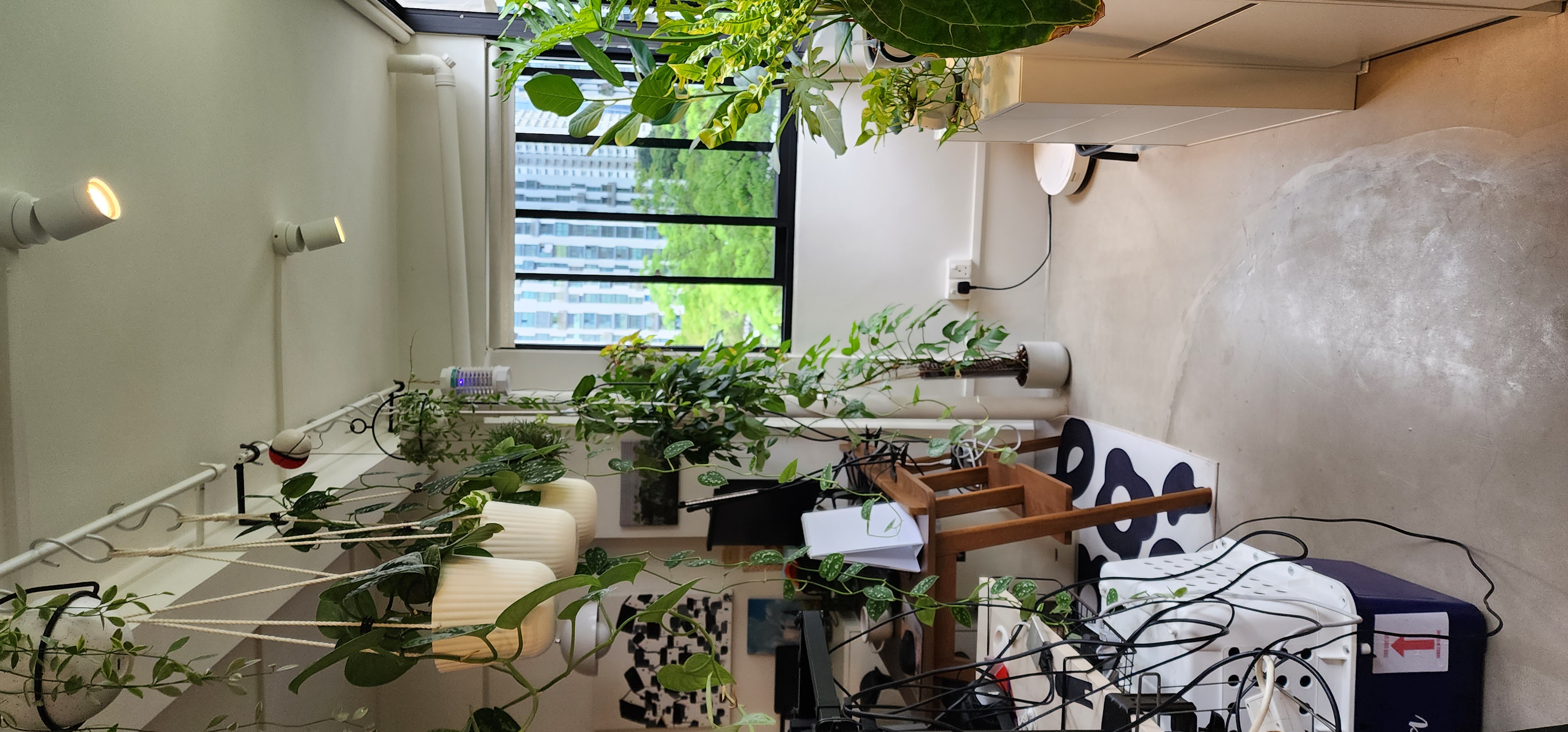 Study room or plant paradise? - green plants, indoor garden, indoor plants, hanging plants, indoor foliage, indoor plants on