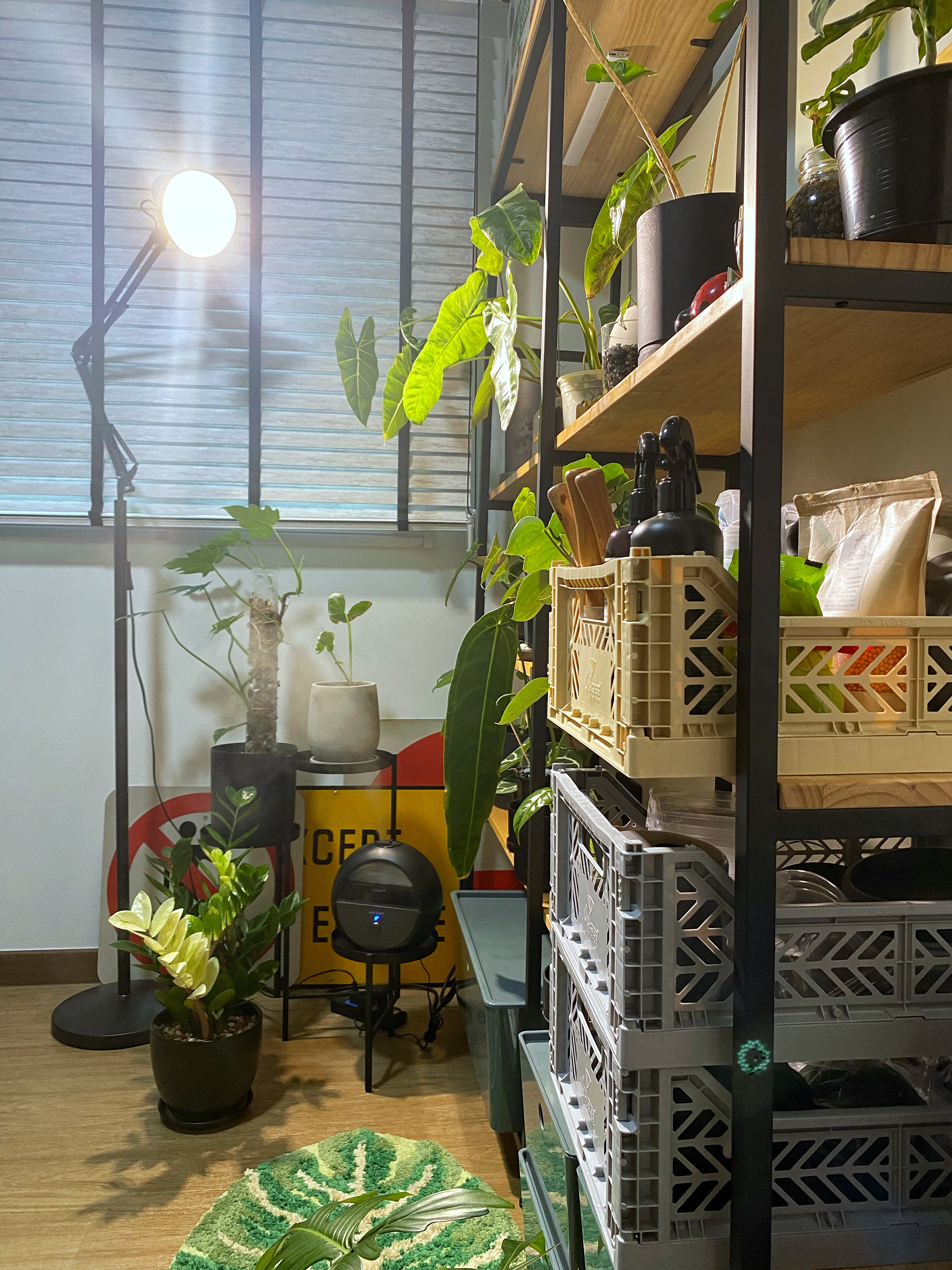 Welcome to the jungle, the right shelf matters