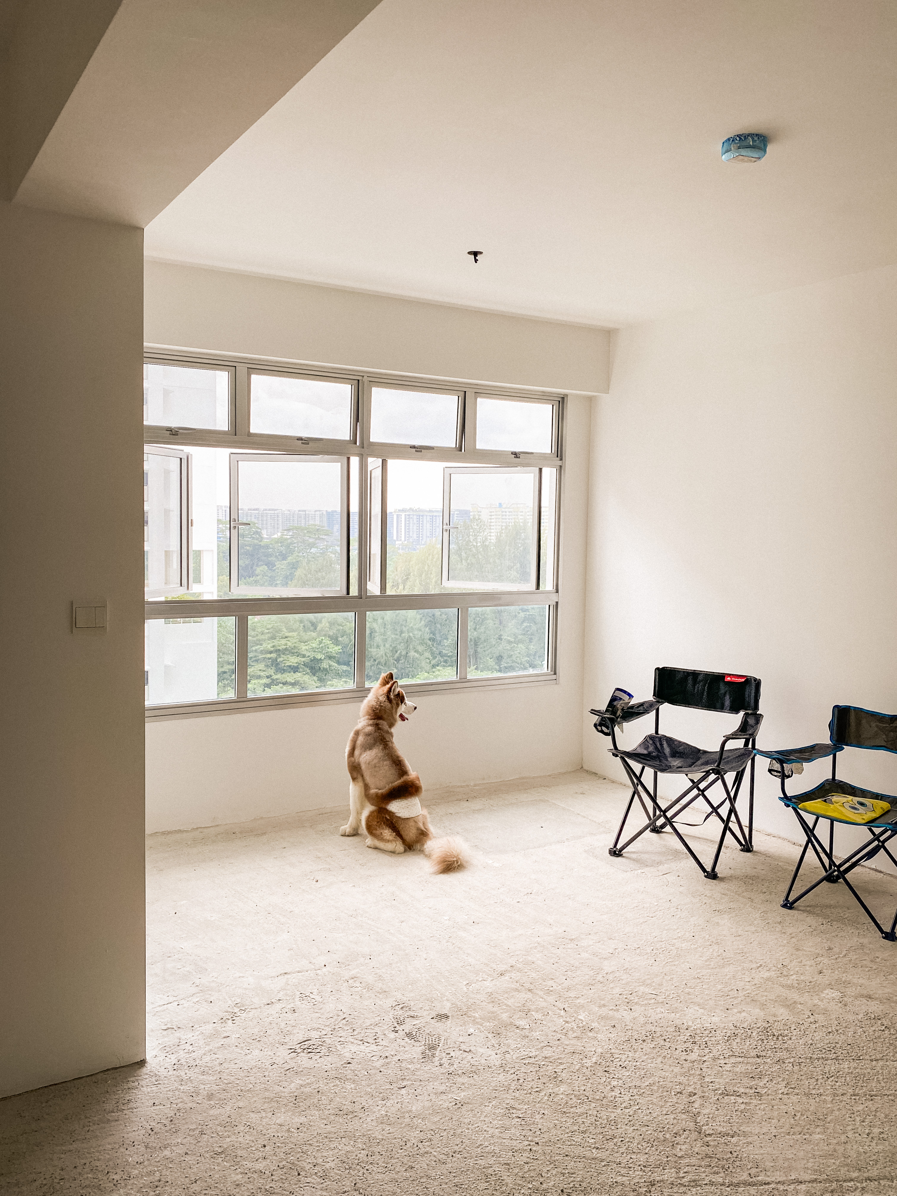 Self-designed open concept 4room BTO at Punggol - Large windows, minimalist decor, cozy room, dog sitting, natural light