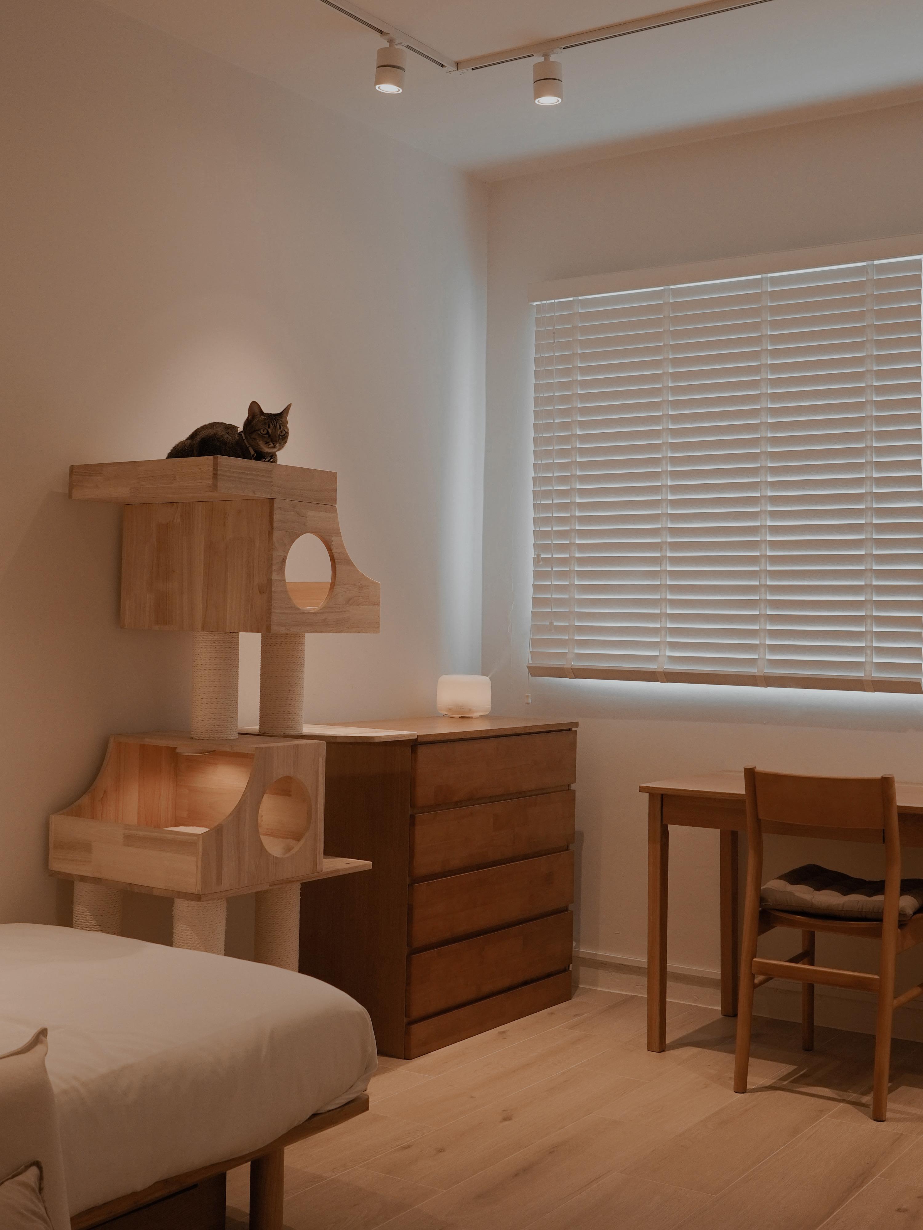 Day-to-Night-Comfort-Routine-in-a-Cozy-Room